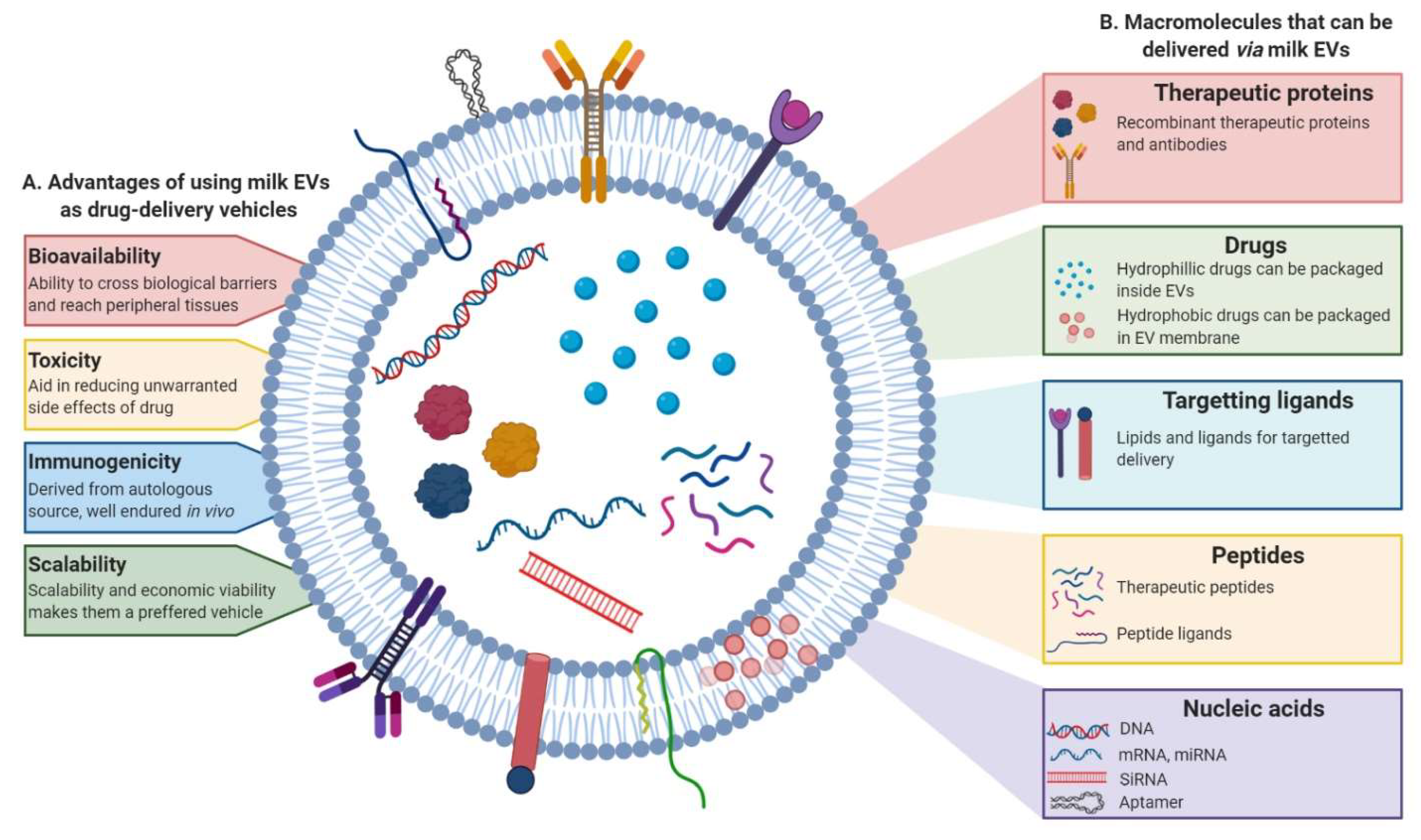 Proteomes 08 00011 g005