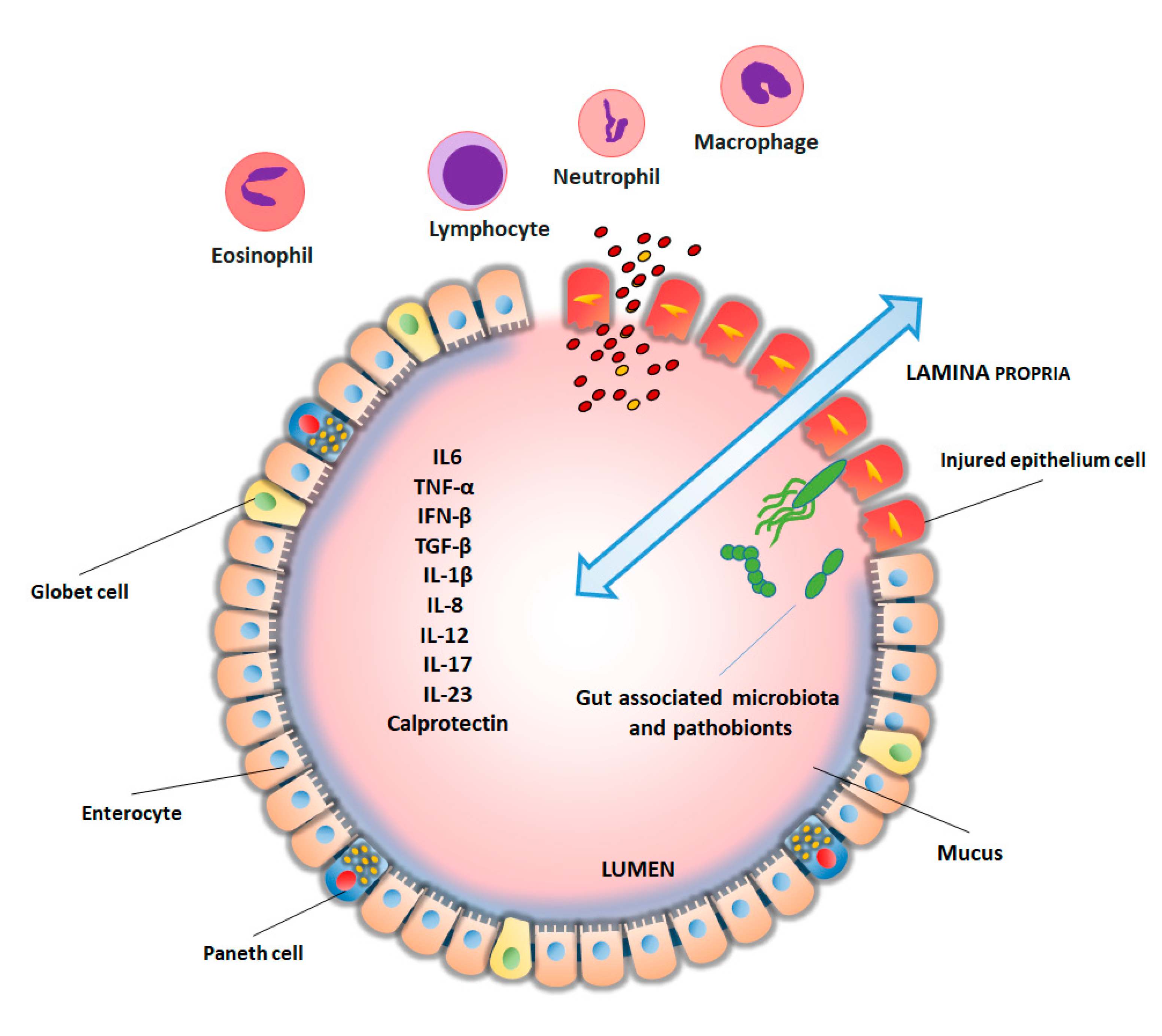 Proteomes 08 00018 g002