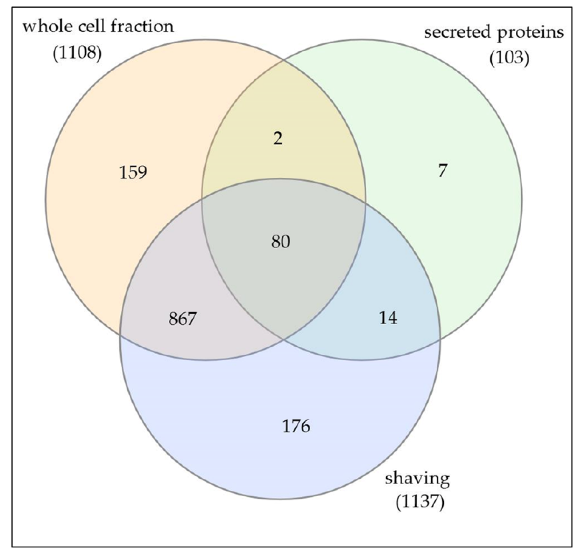 Proteomes 08 00019 g001