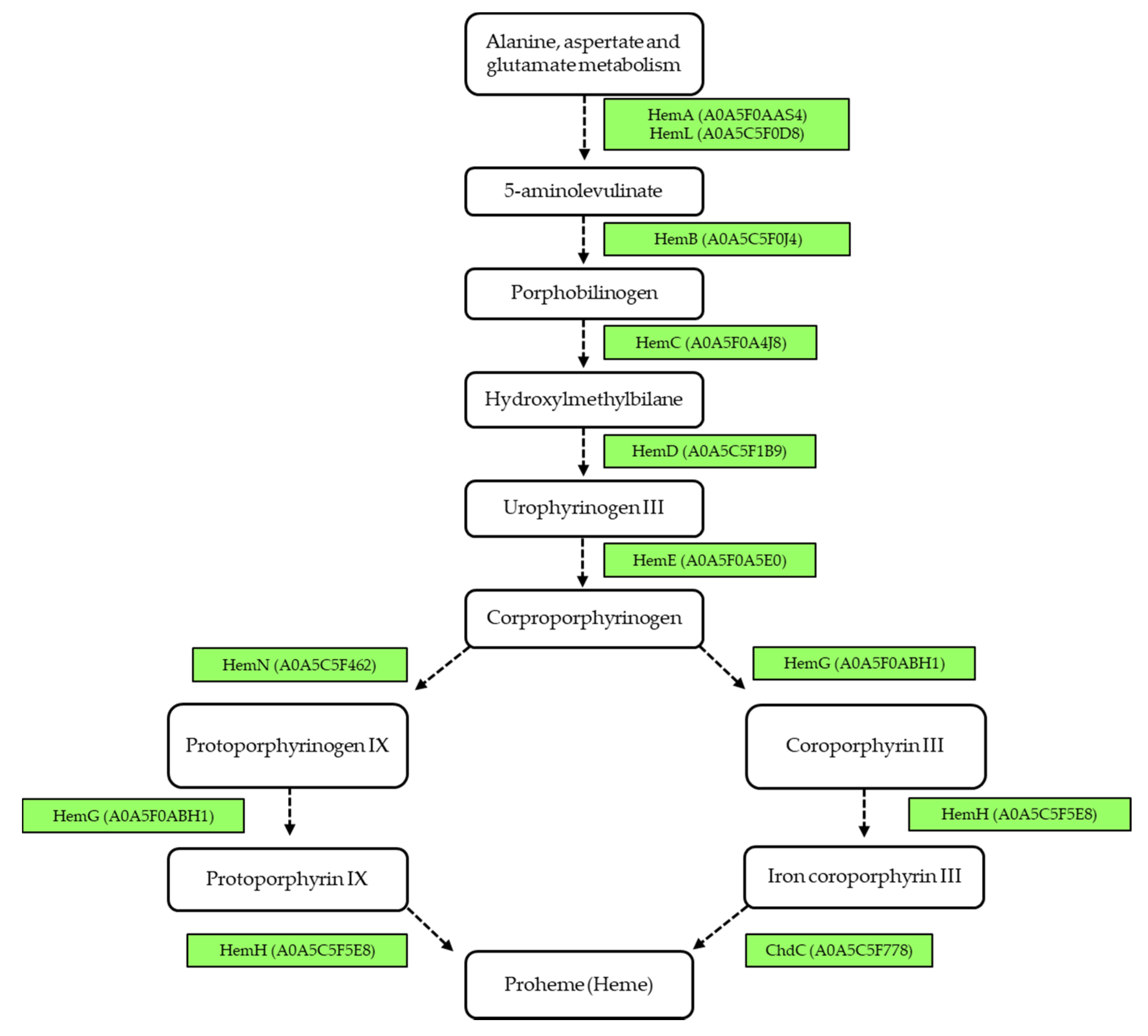 Proteomes 08 00019 g006