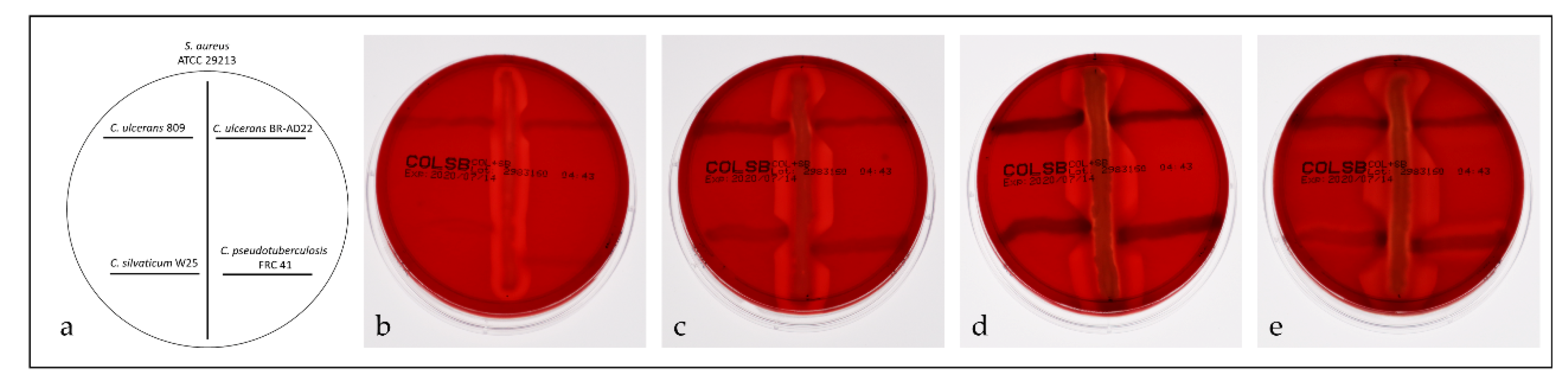 Proteomes 08 00019 g007