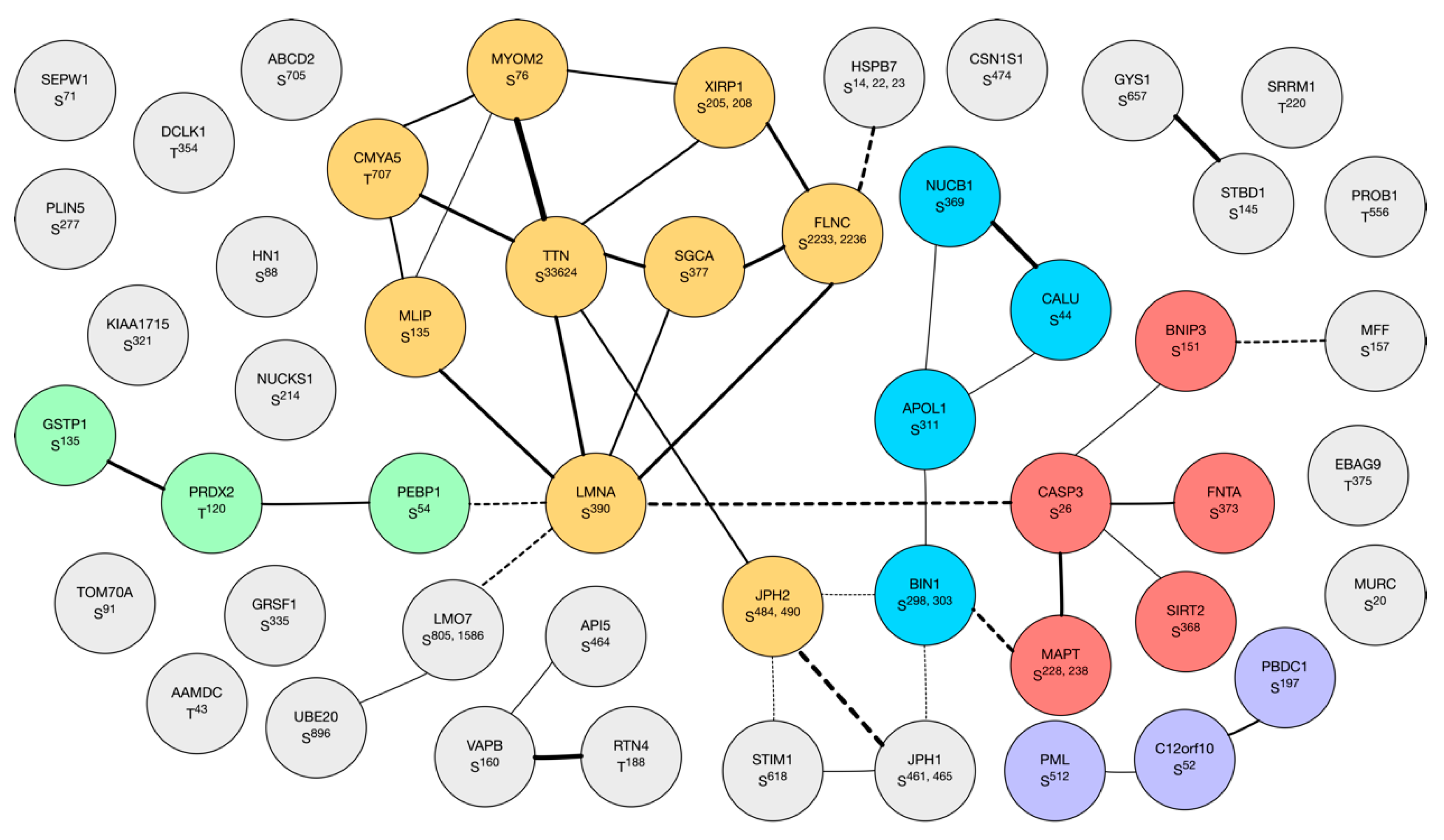 Proteomes 08 00022 g006