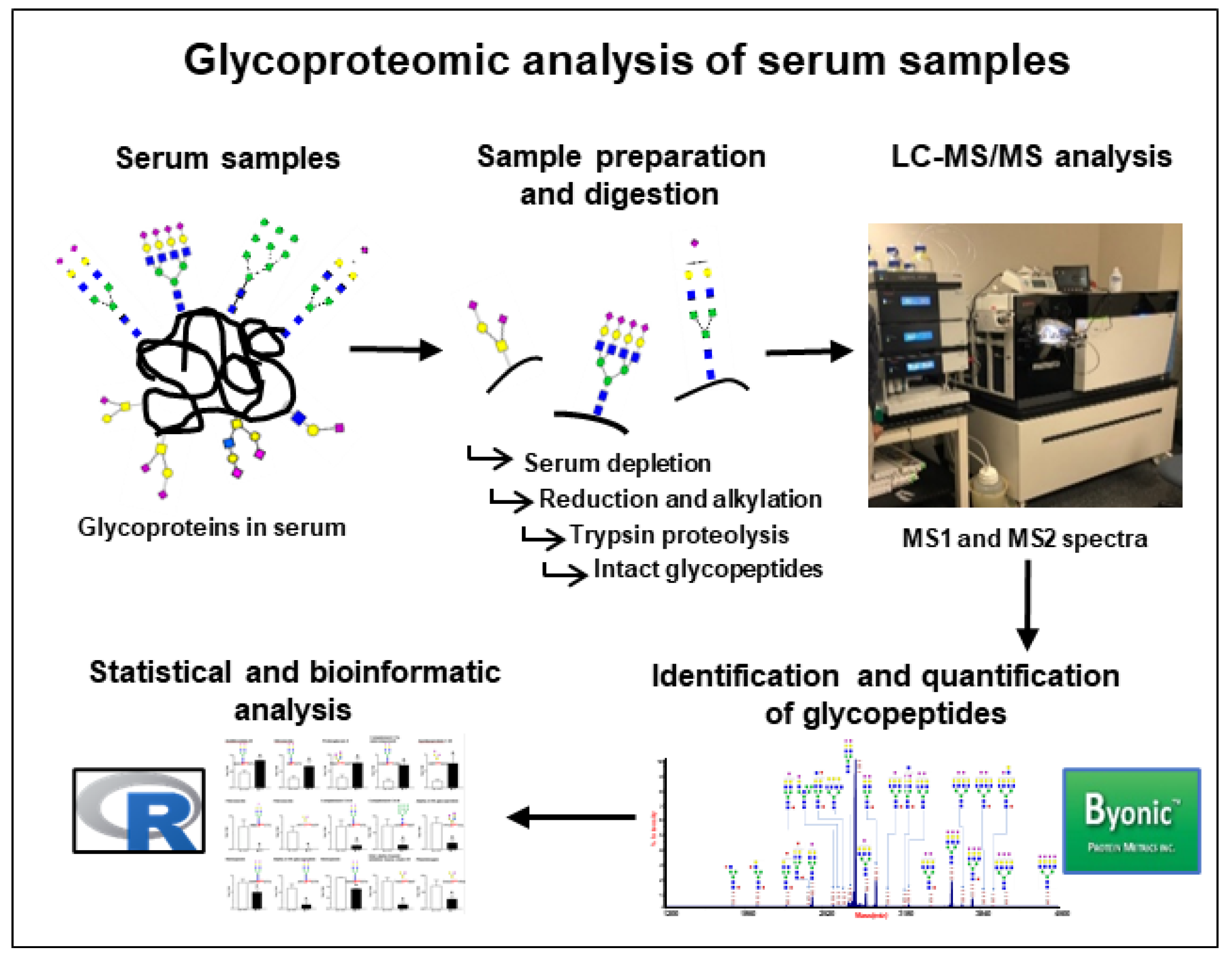 Proteomes 08 00025 g001