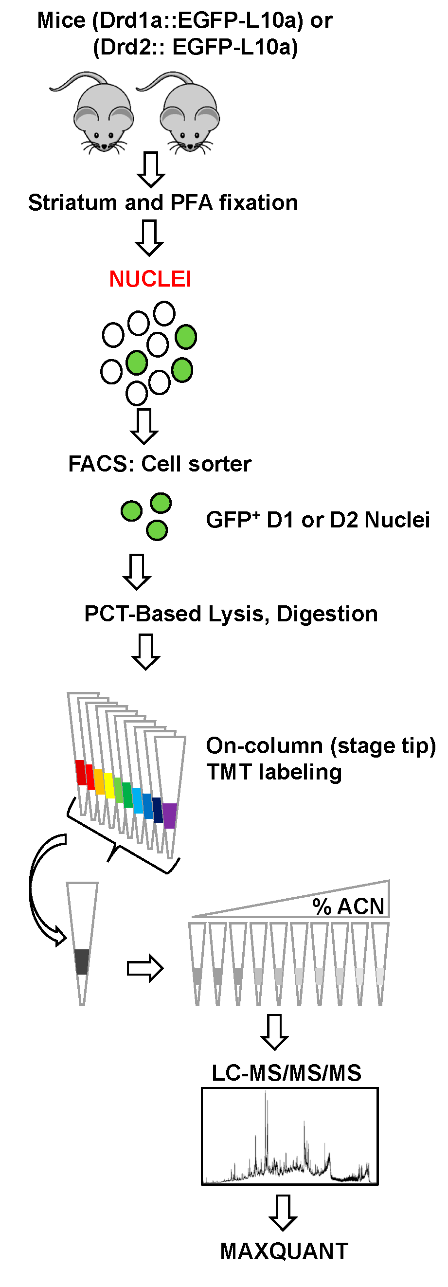 Proteomes 08 00027 g001