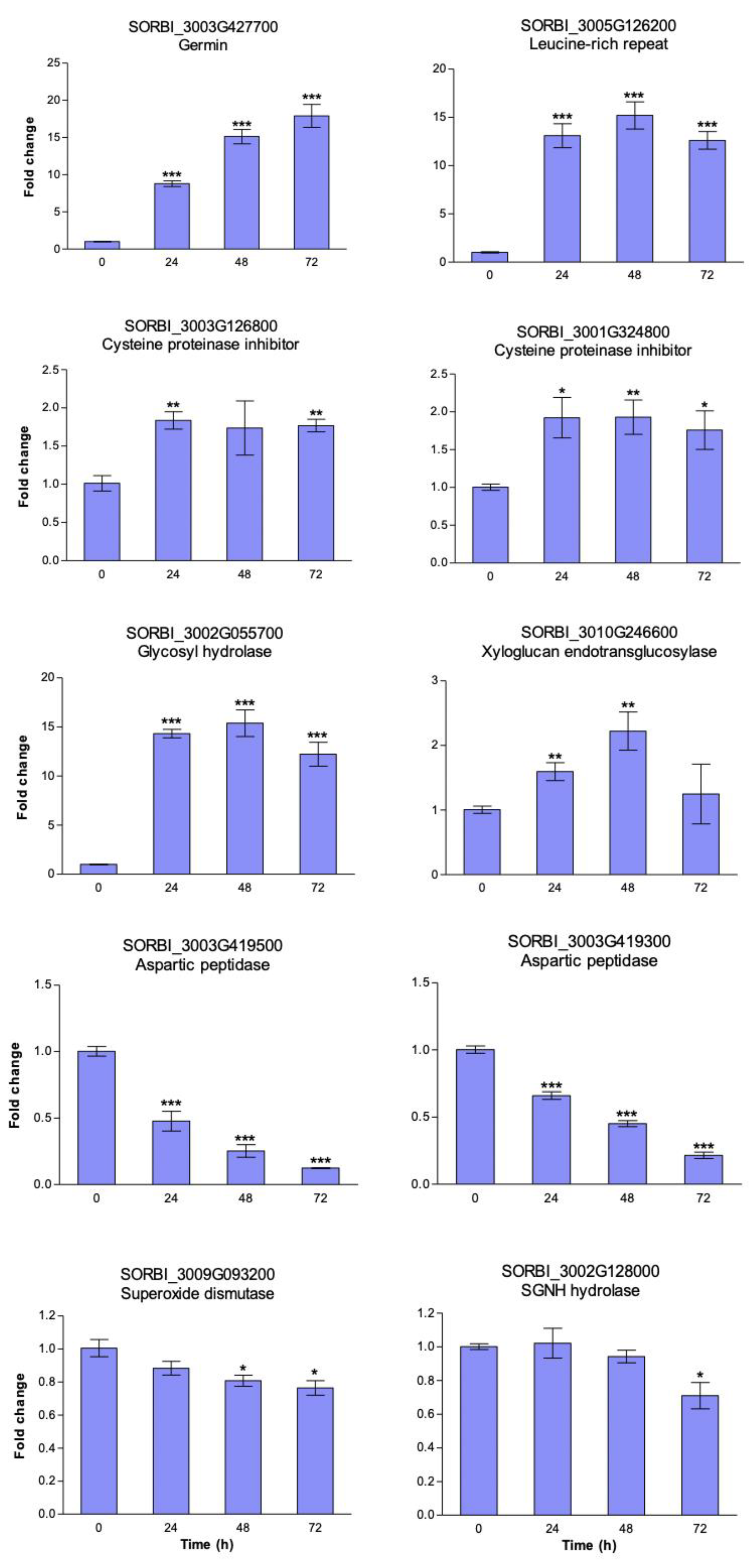 Proteomes 08 00029 g004