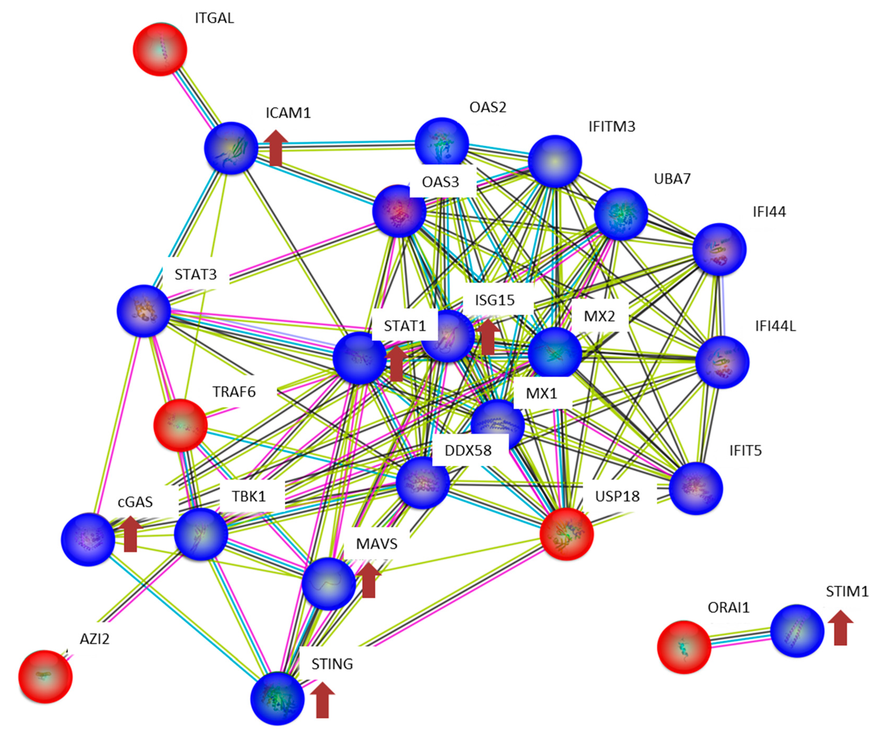Proteomes 08 00030 g005