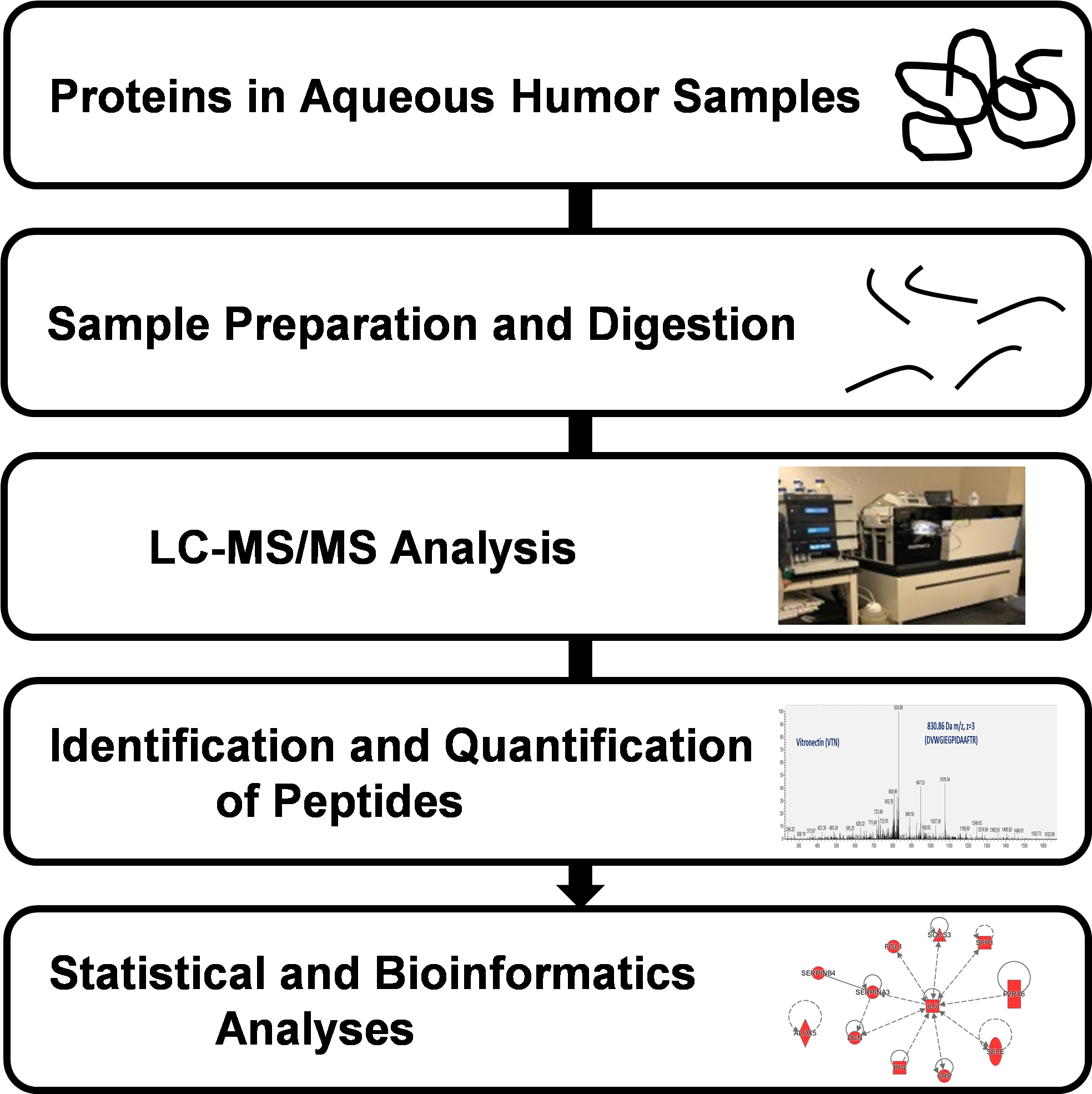 Proteomes 08 00034 g001