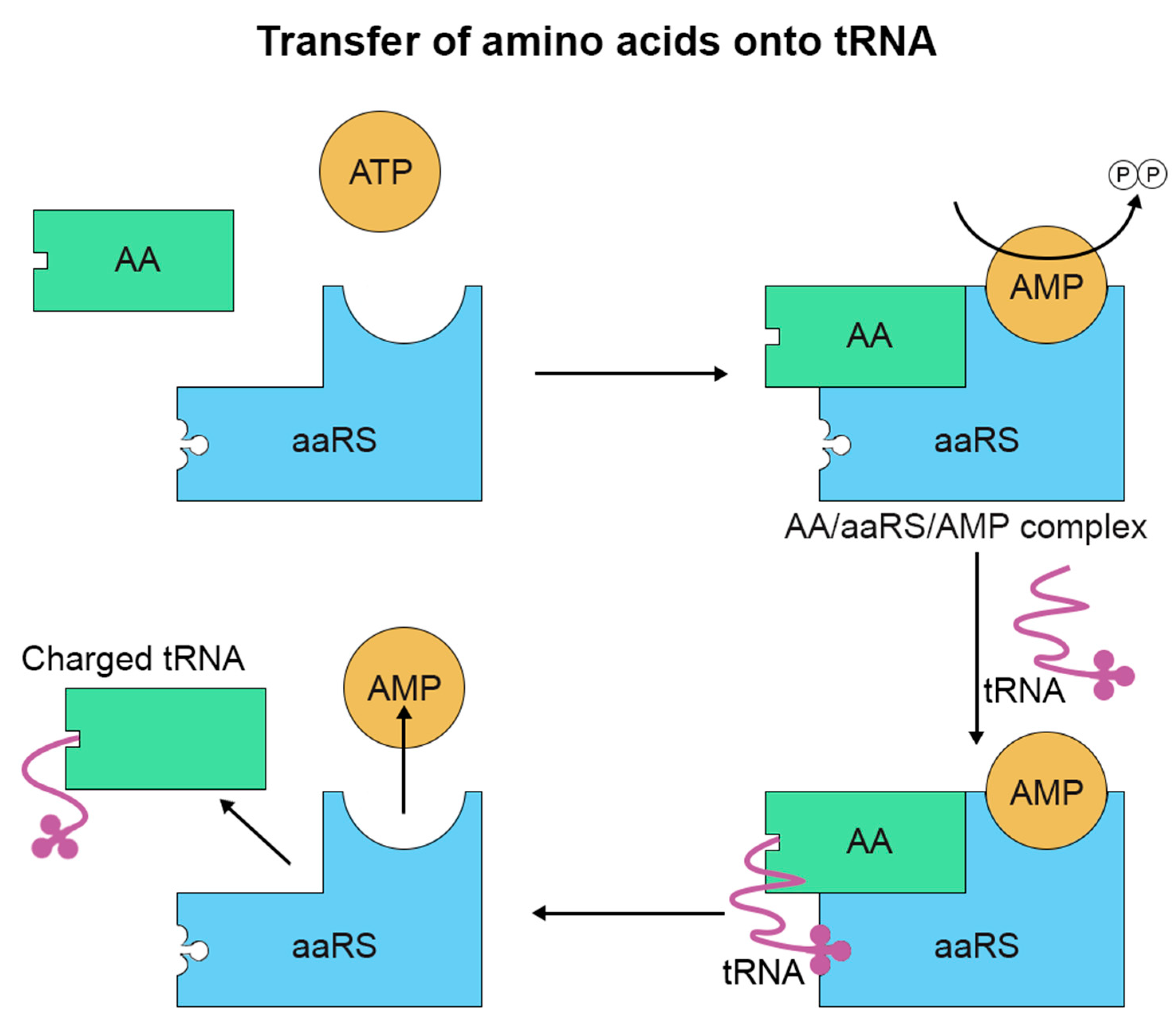 Proteomes 09 00002 g001