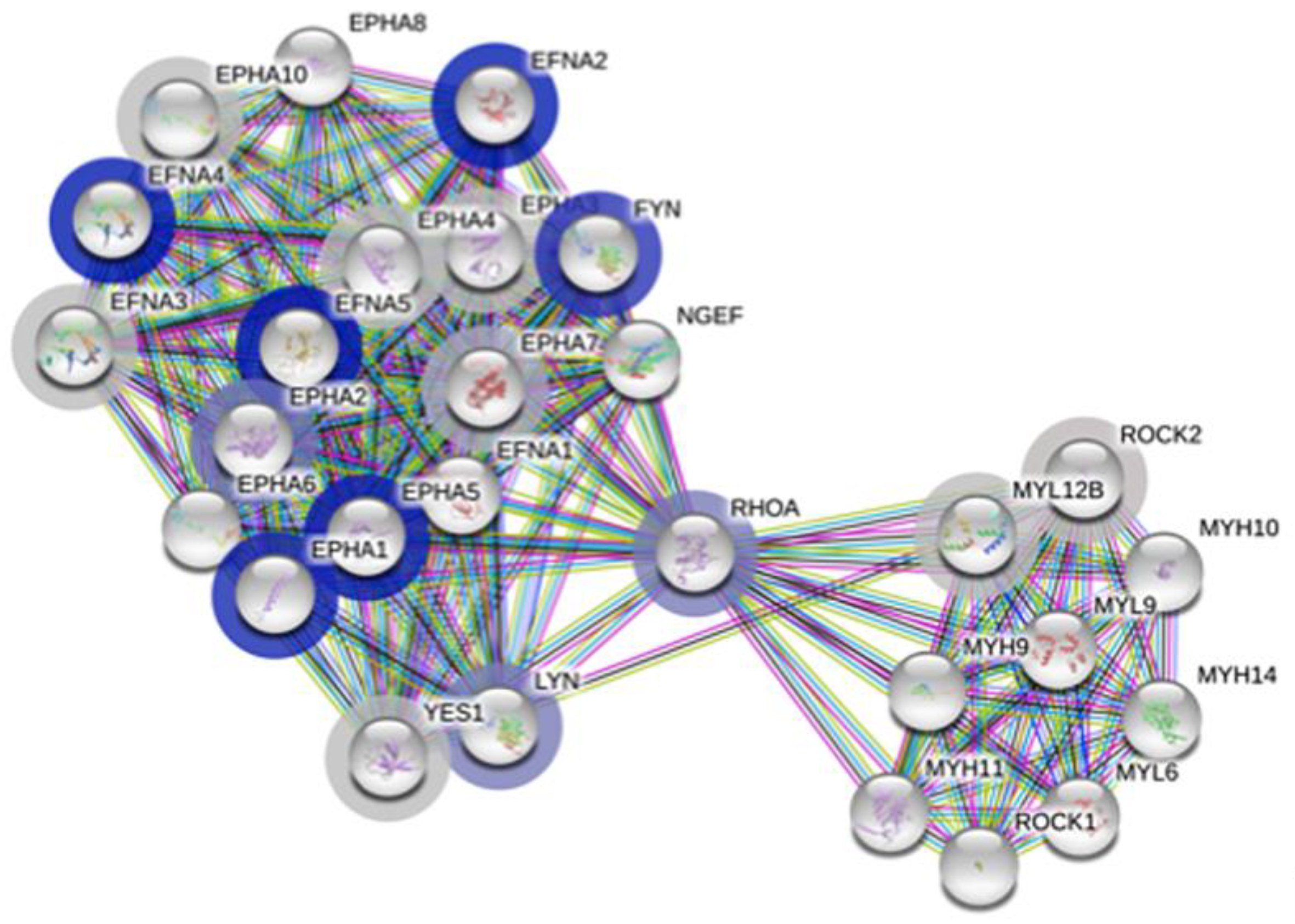 Proteomes 09 00006 g002
