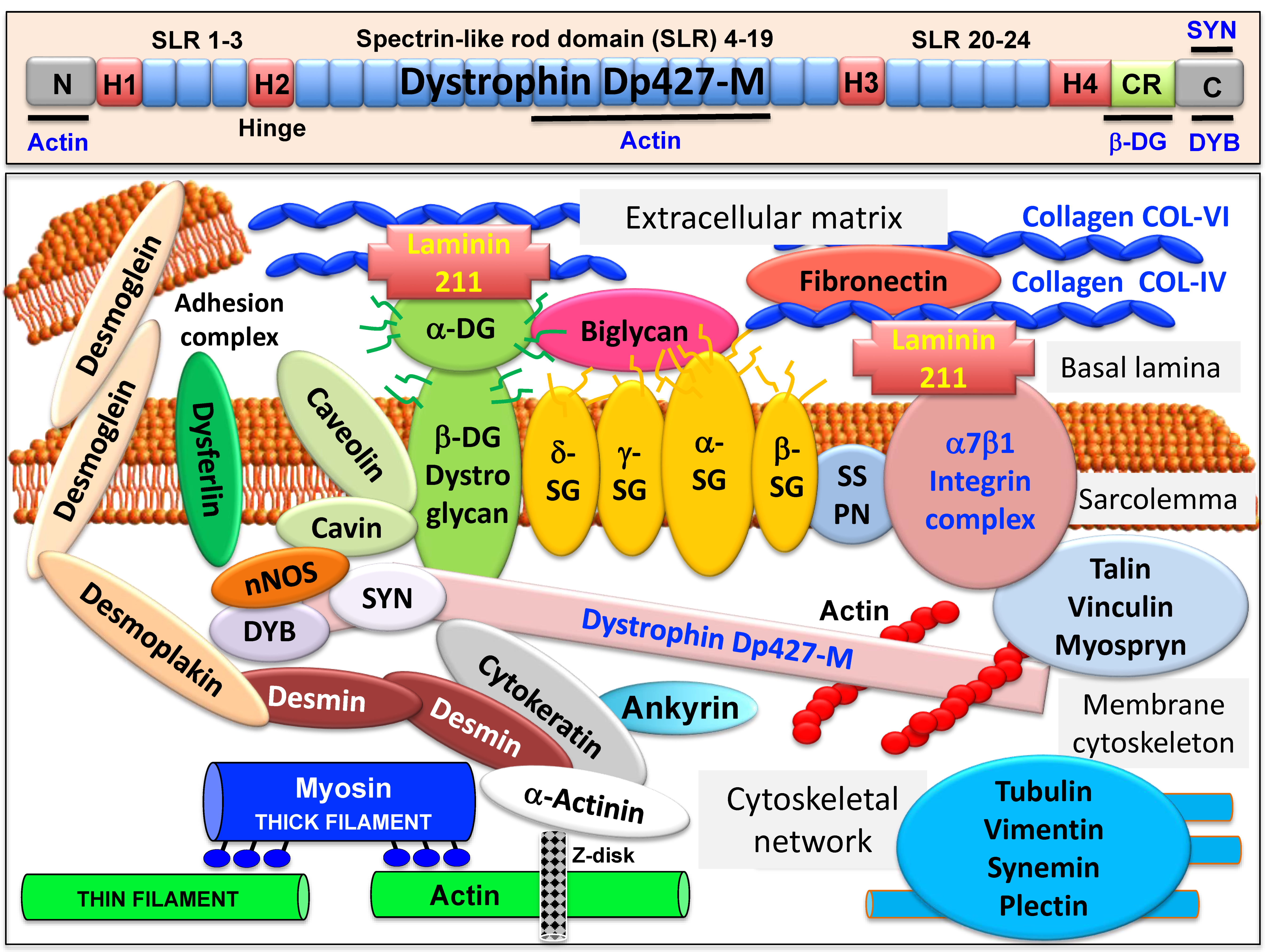 Proteomes 09 00009 g001