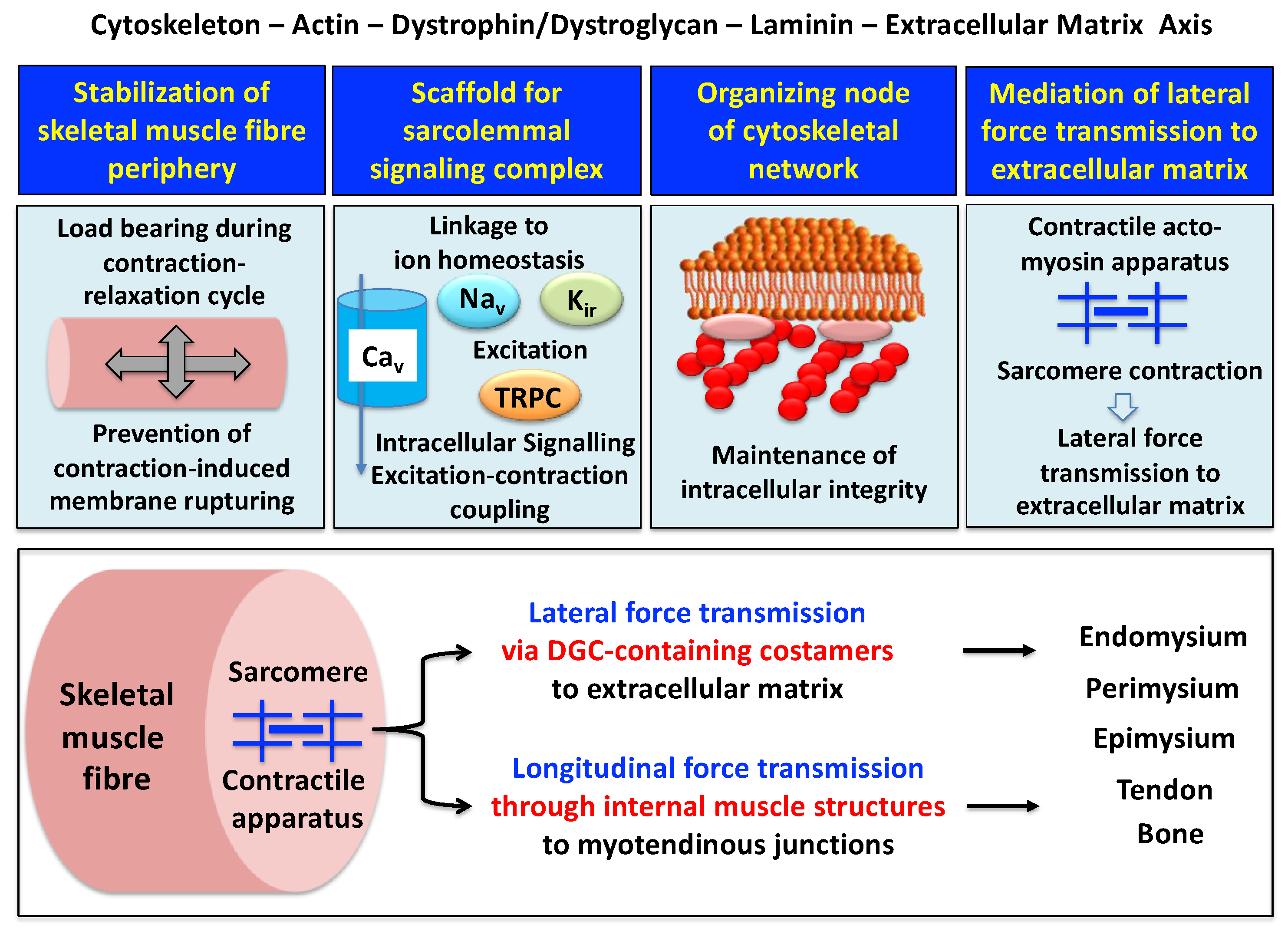 Proteomes 09 00009 g002