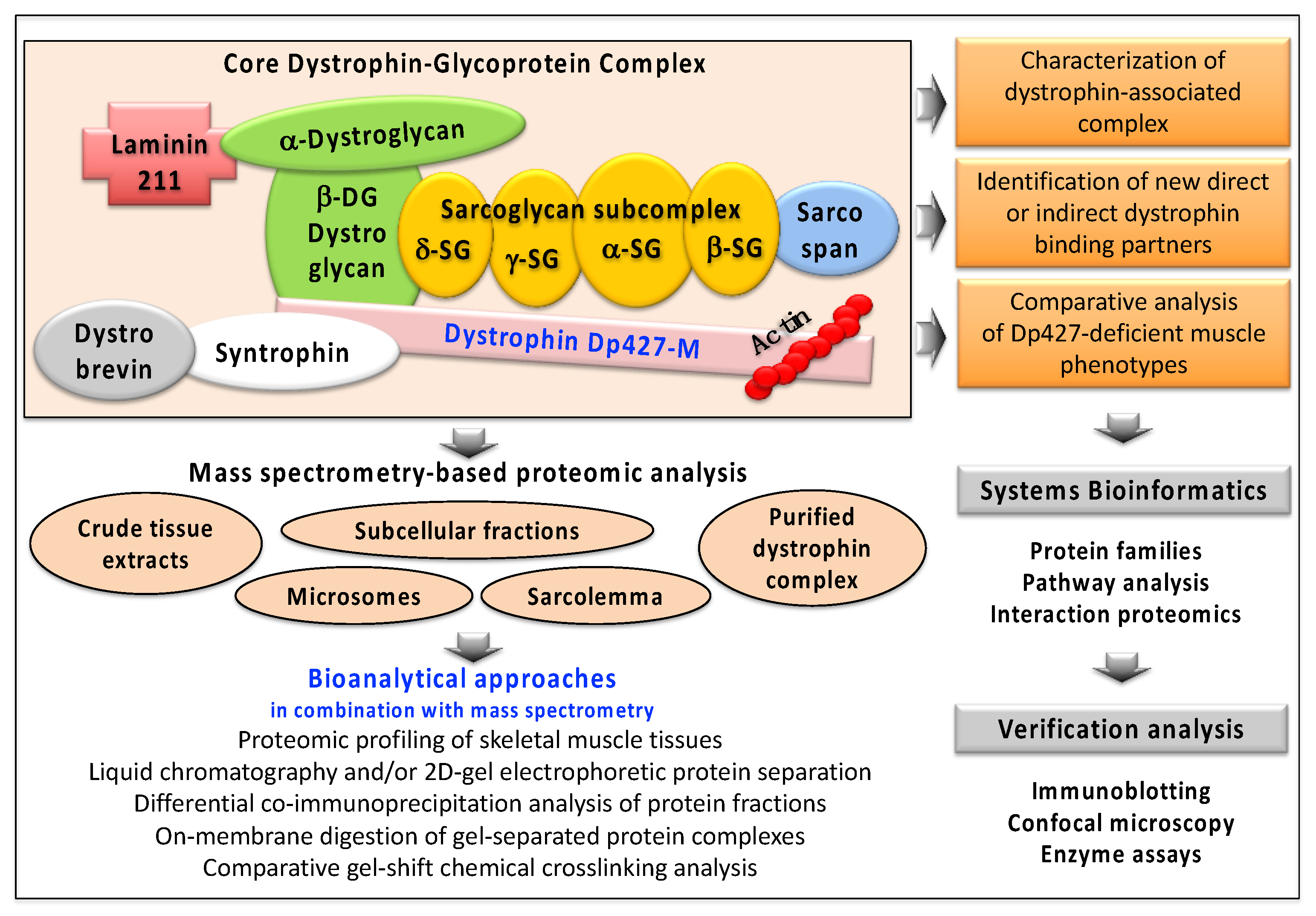 Proteomes 09 00009 g003