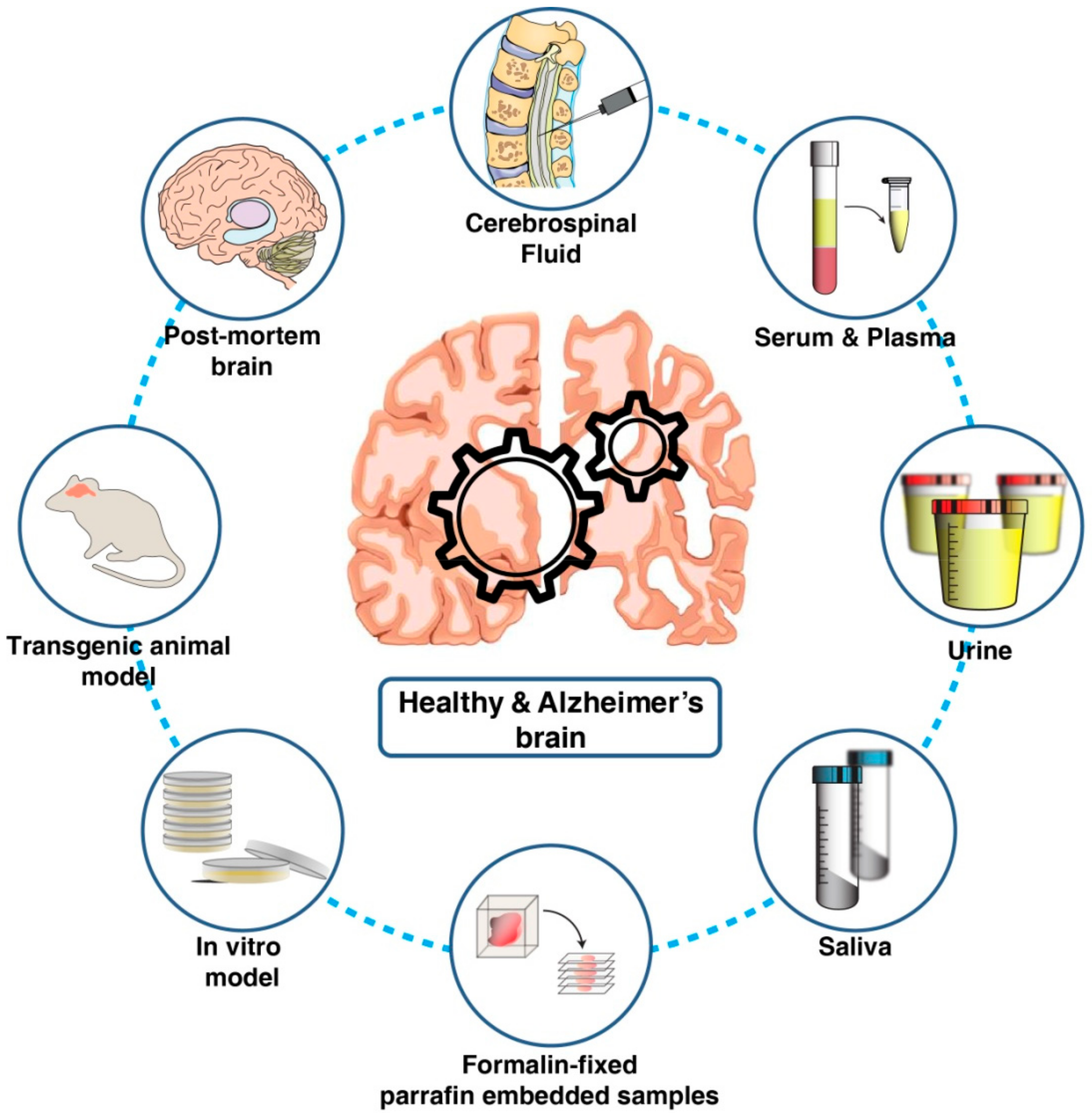 Proteomes 09 00013 g001