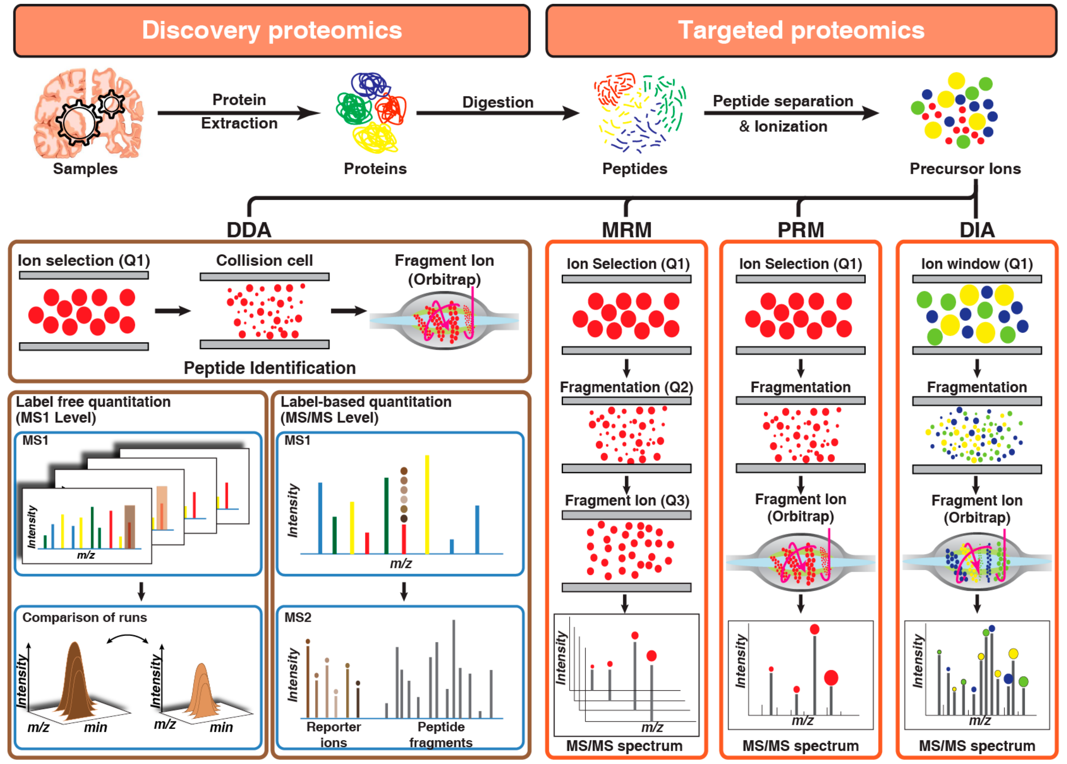 Proteomes 09 00013 g002