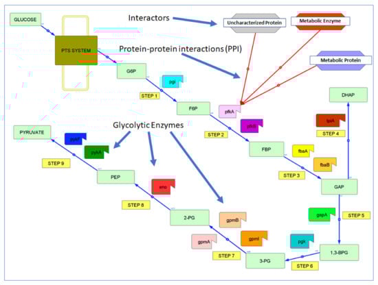Proteomes 09 00016 g001