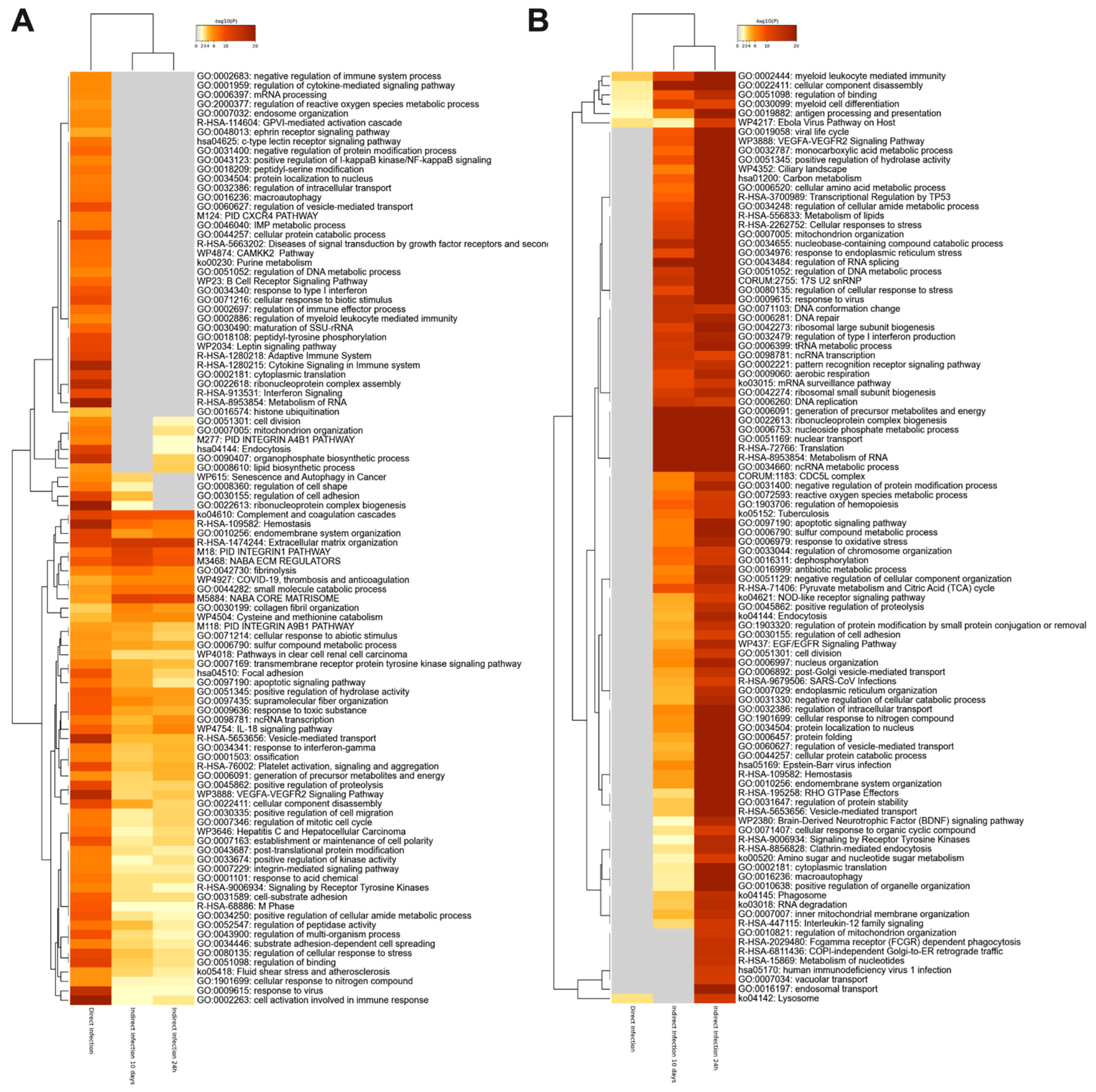 Proteomes 09 00020 g004
