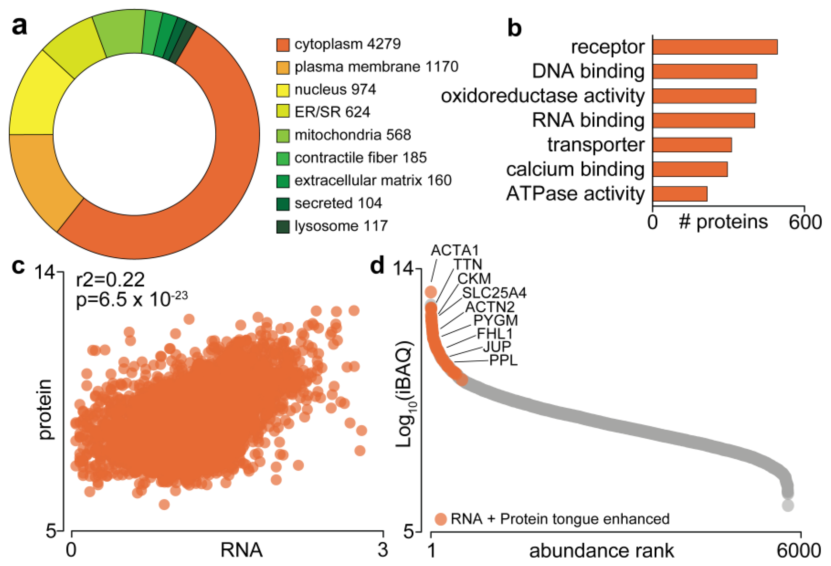 Proteomes 09 00022 g001