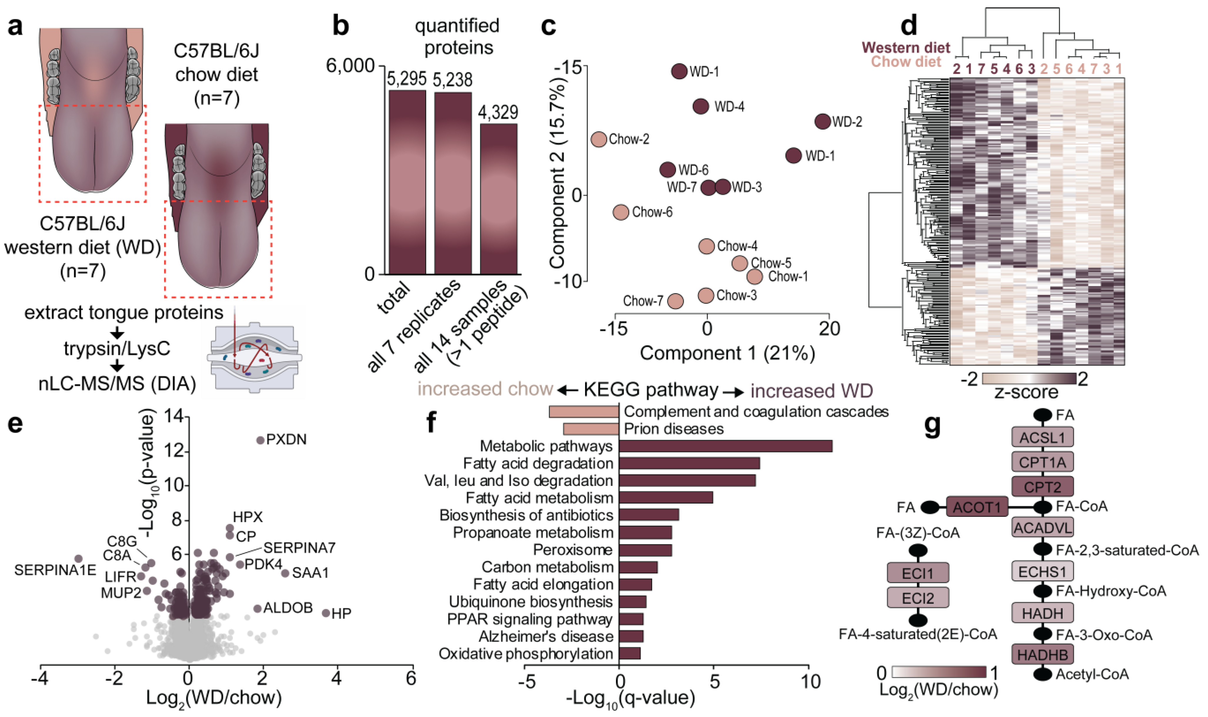 Proteomes 09 00022 g003