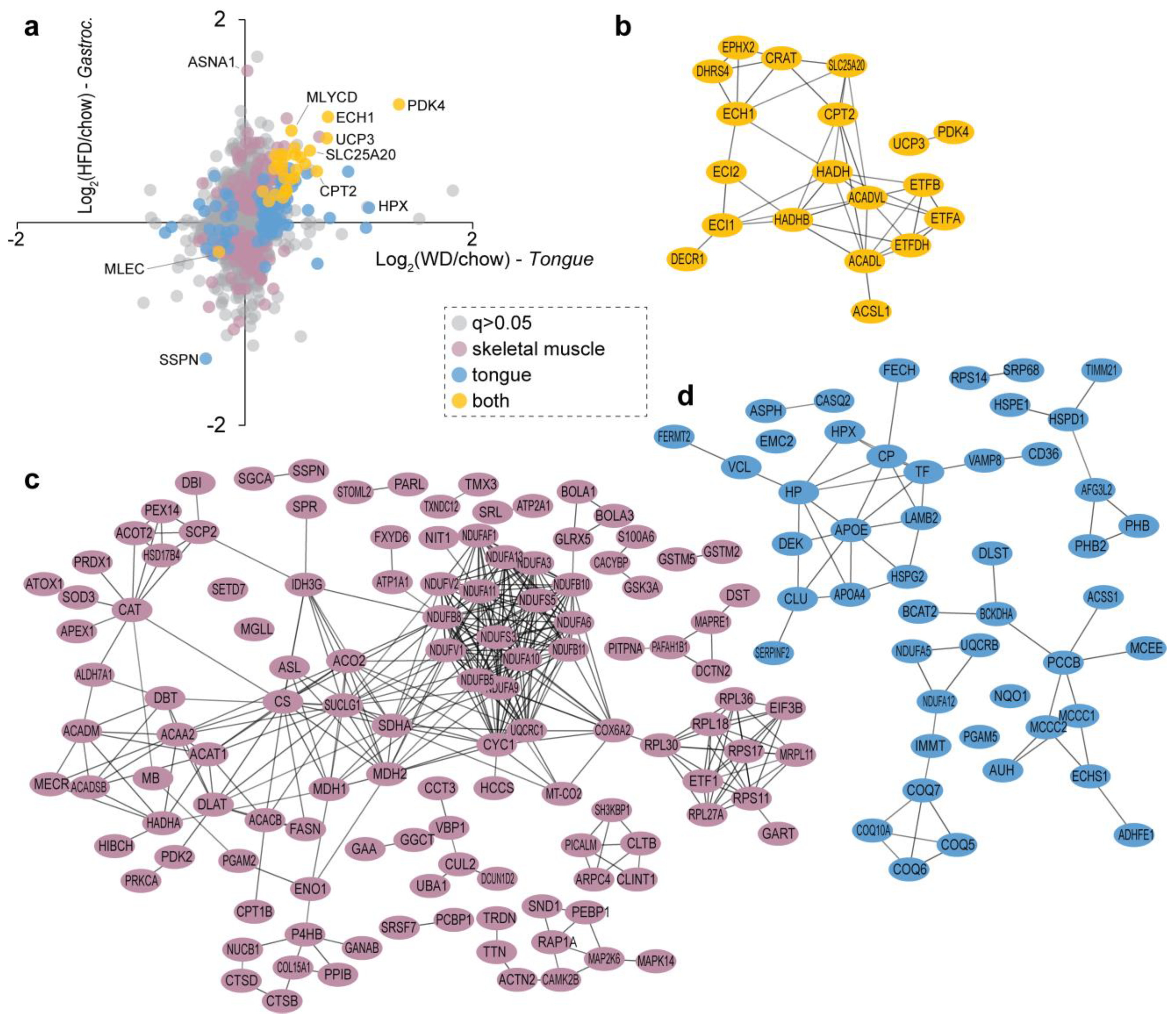 Proteomes 09 00022 g004