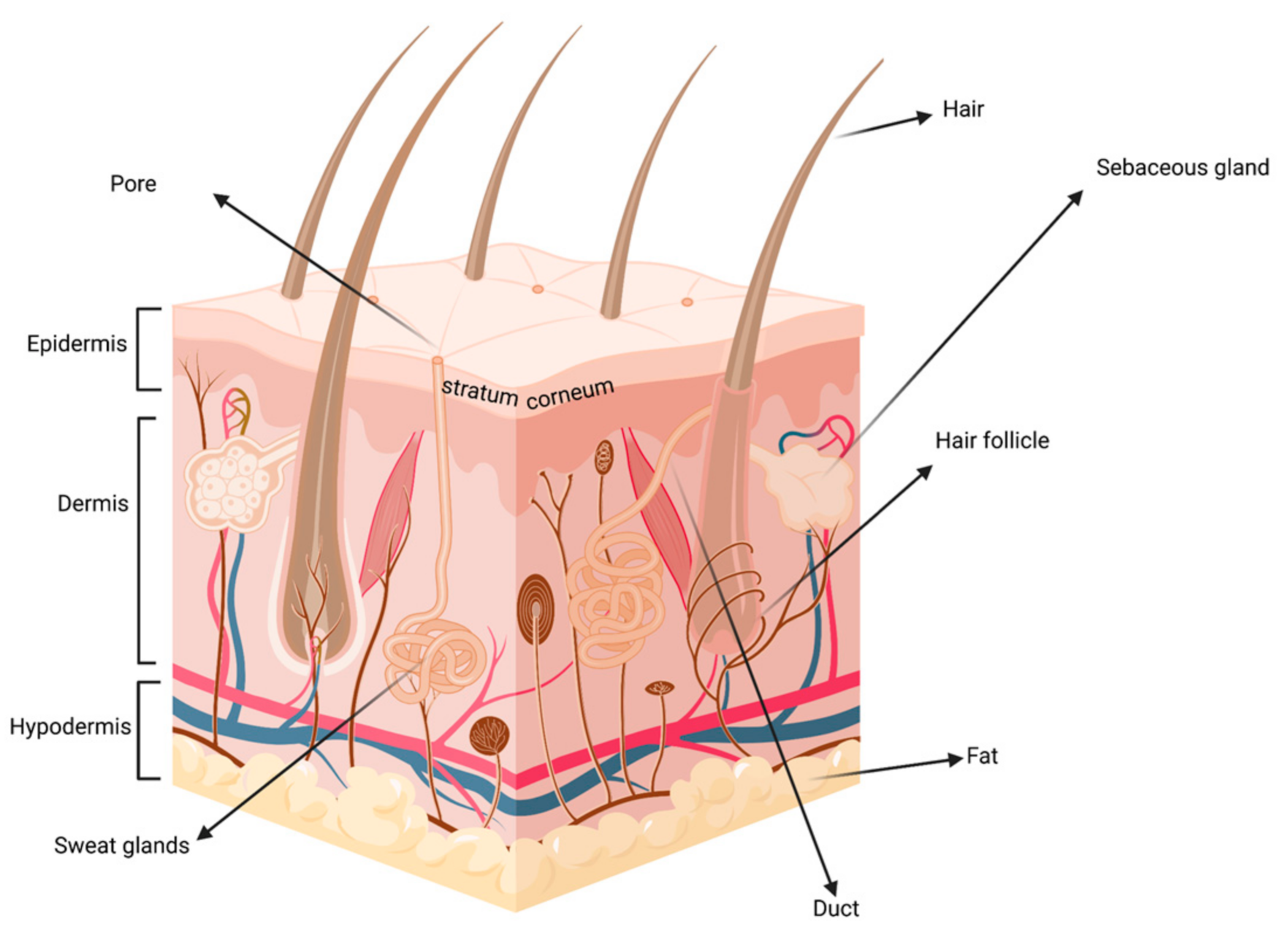 Proteomes 09 00023 g001