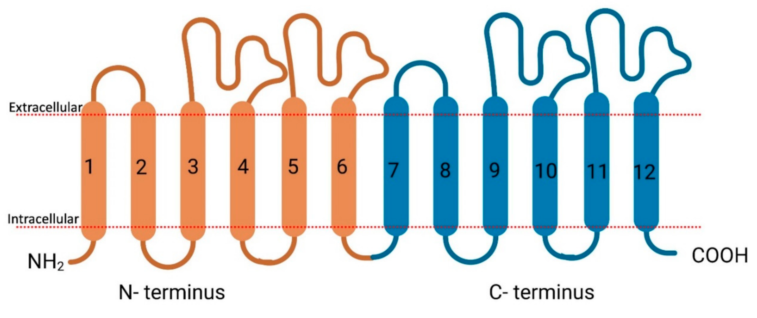 Proteomes 09 00023 g003