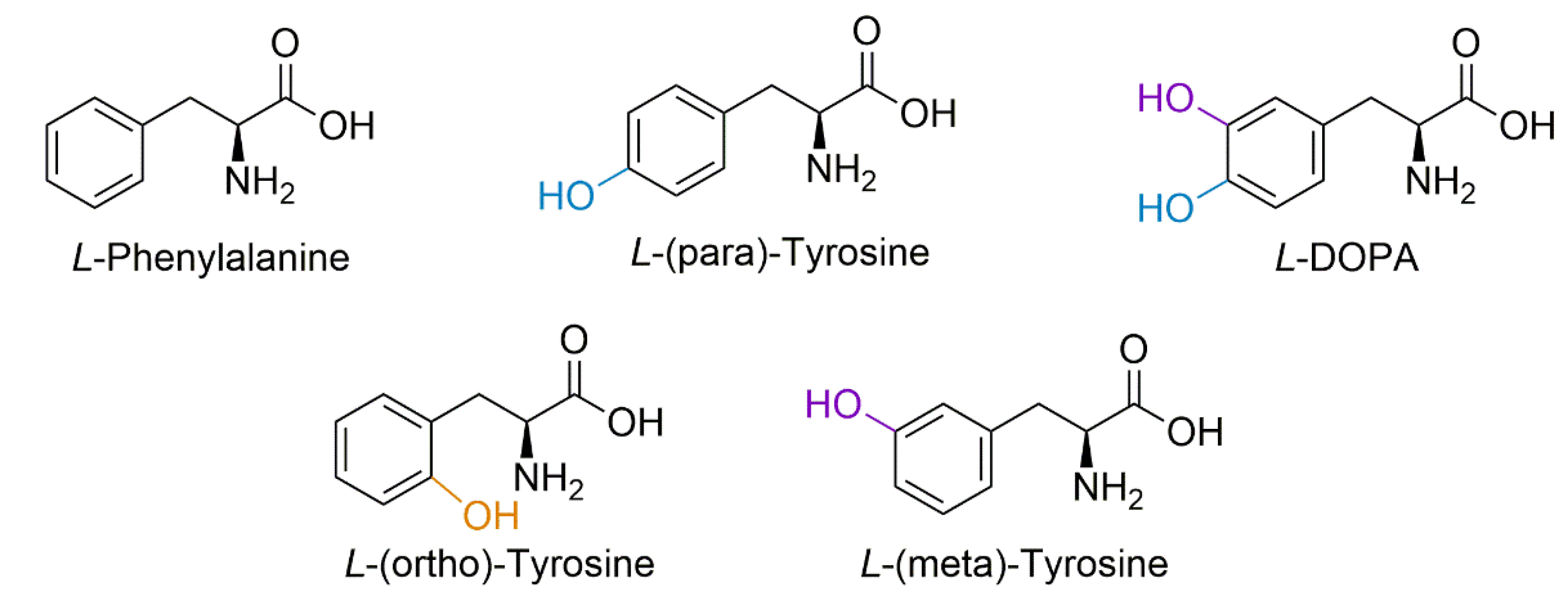 Proteomes 09 00024 g001