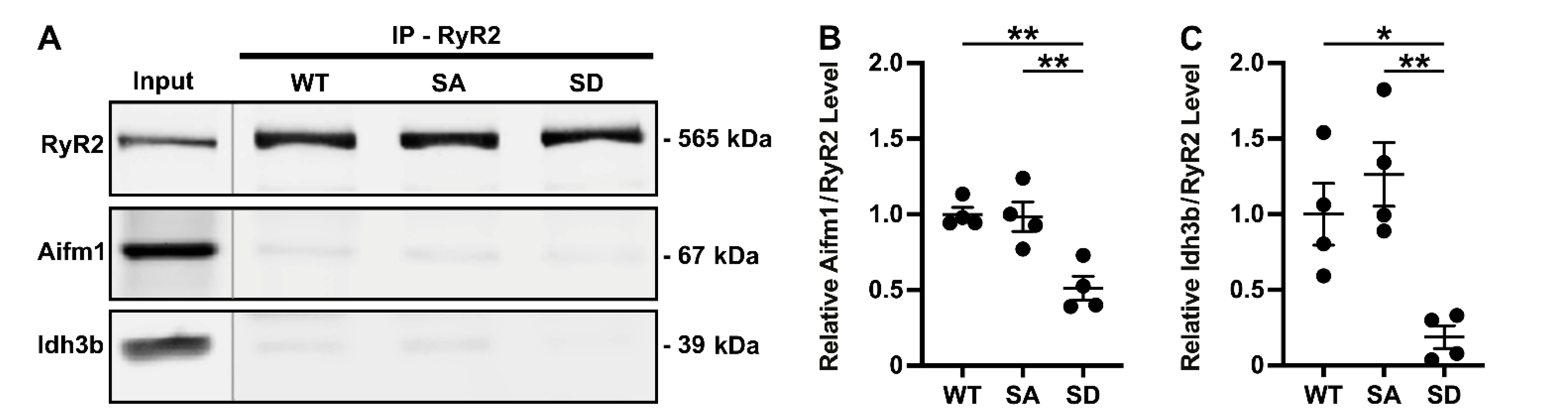 Proteomes 09 00027 g004