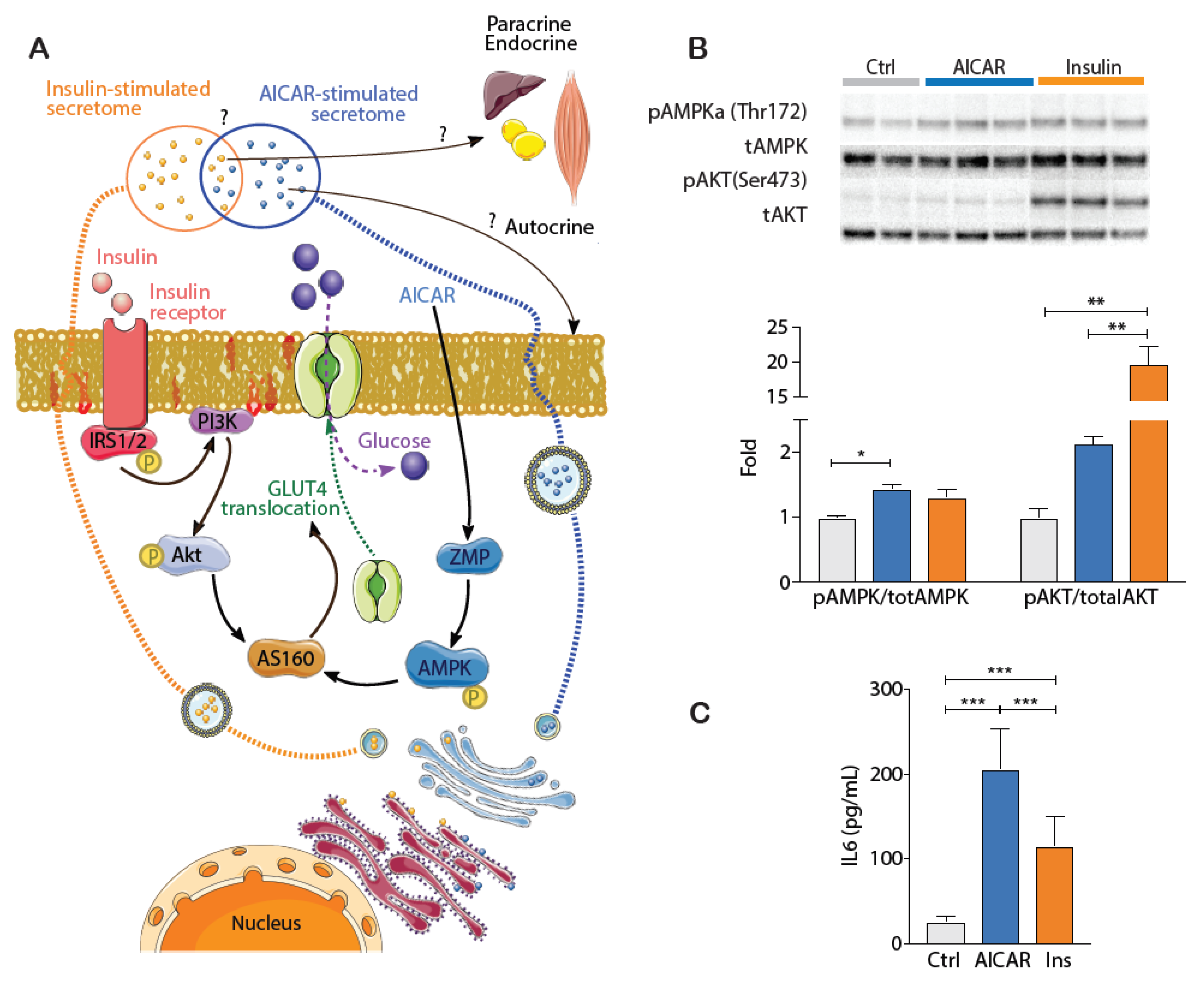 Proteomes 09 00037 g001