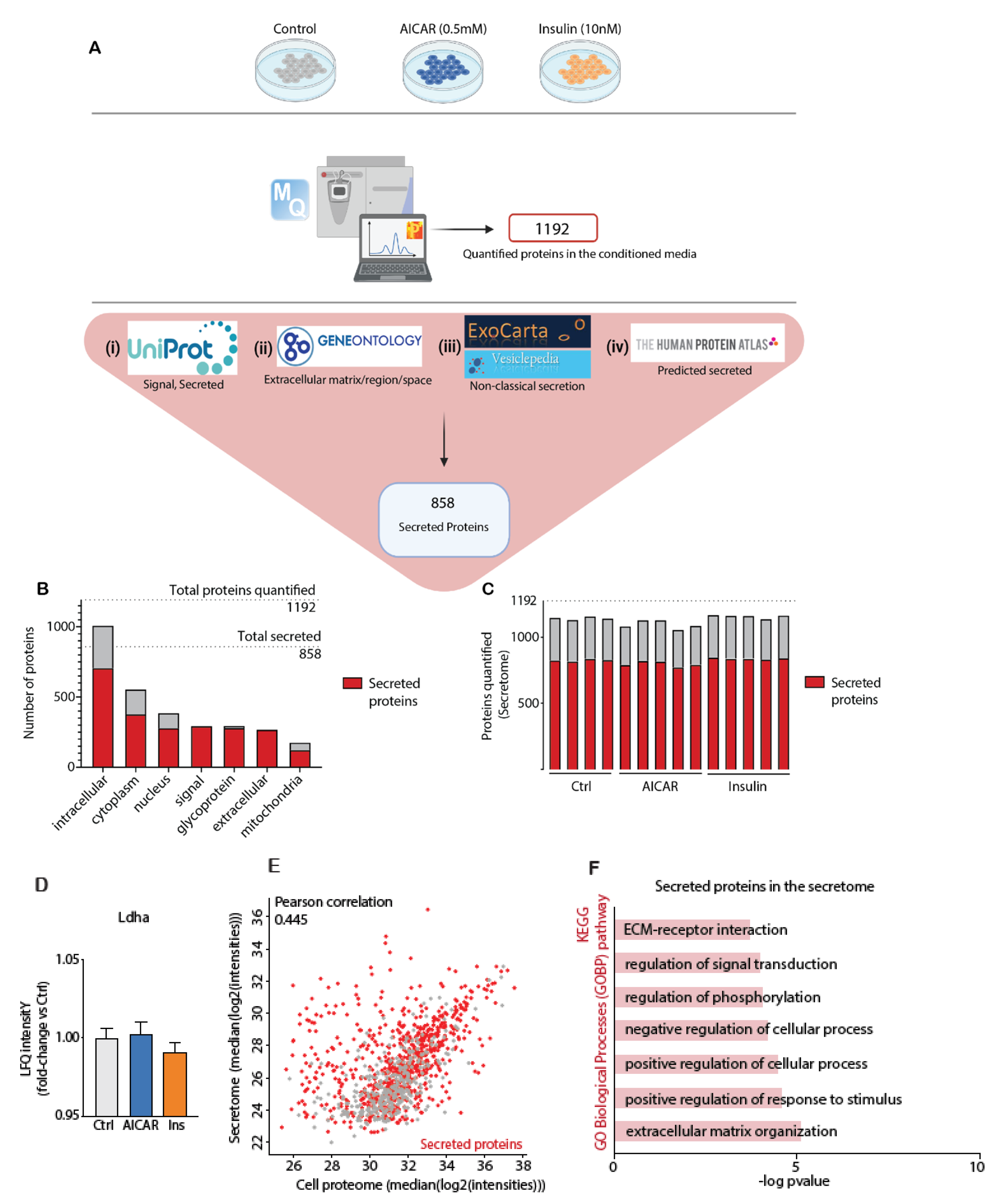 Proteomes 09 00037 g002