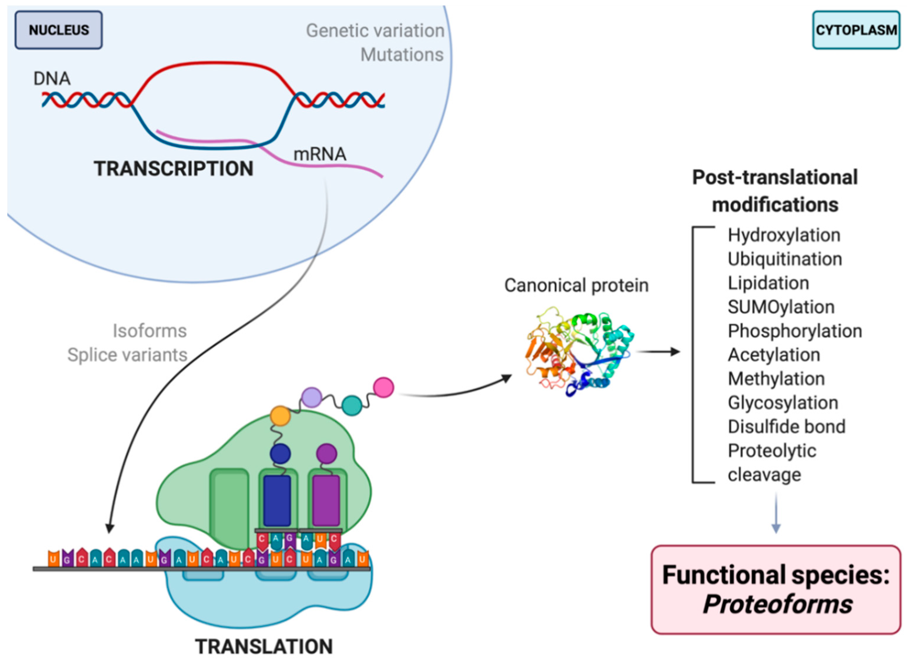 Proteomes 09 00038 g001