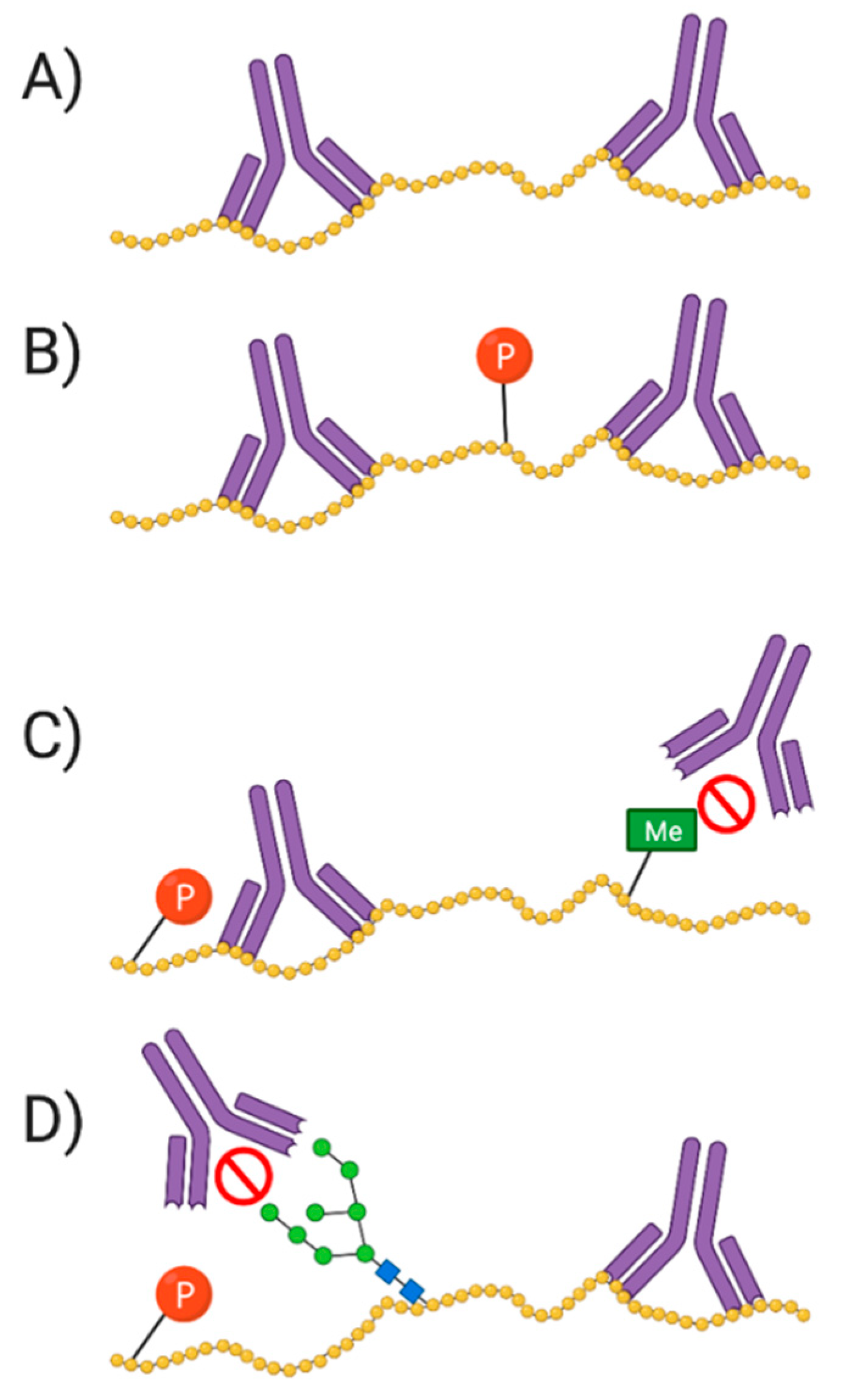 Proteomes 09 00038 g008