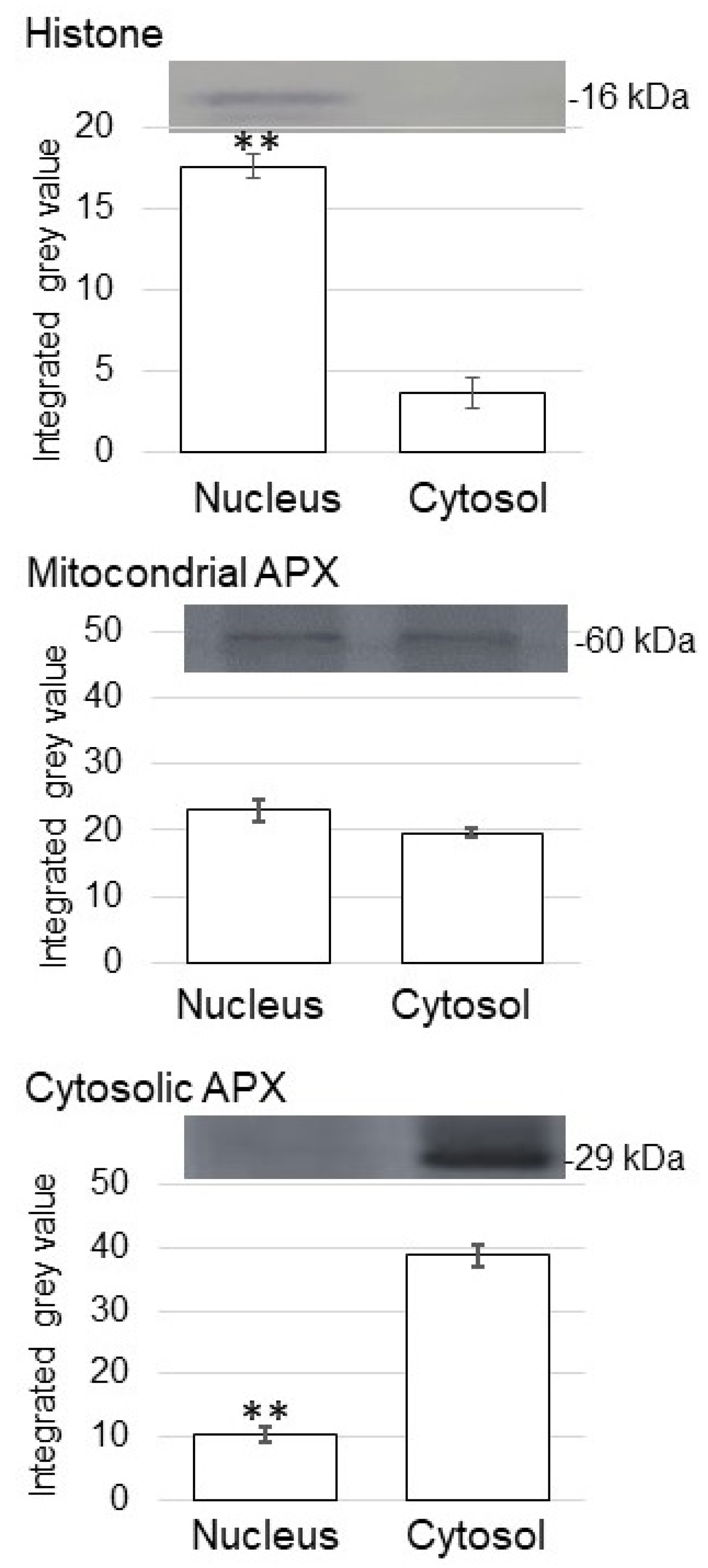 Proteomes 09 00039 g003