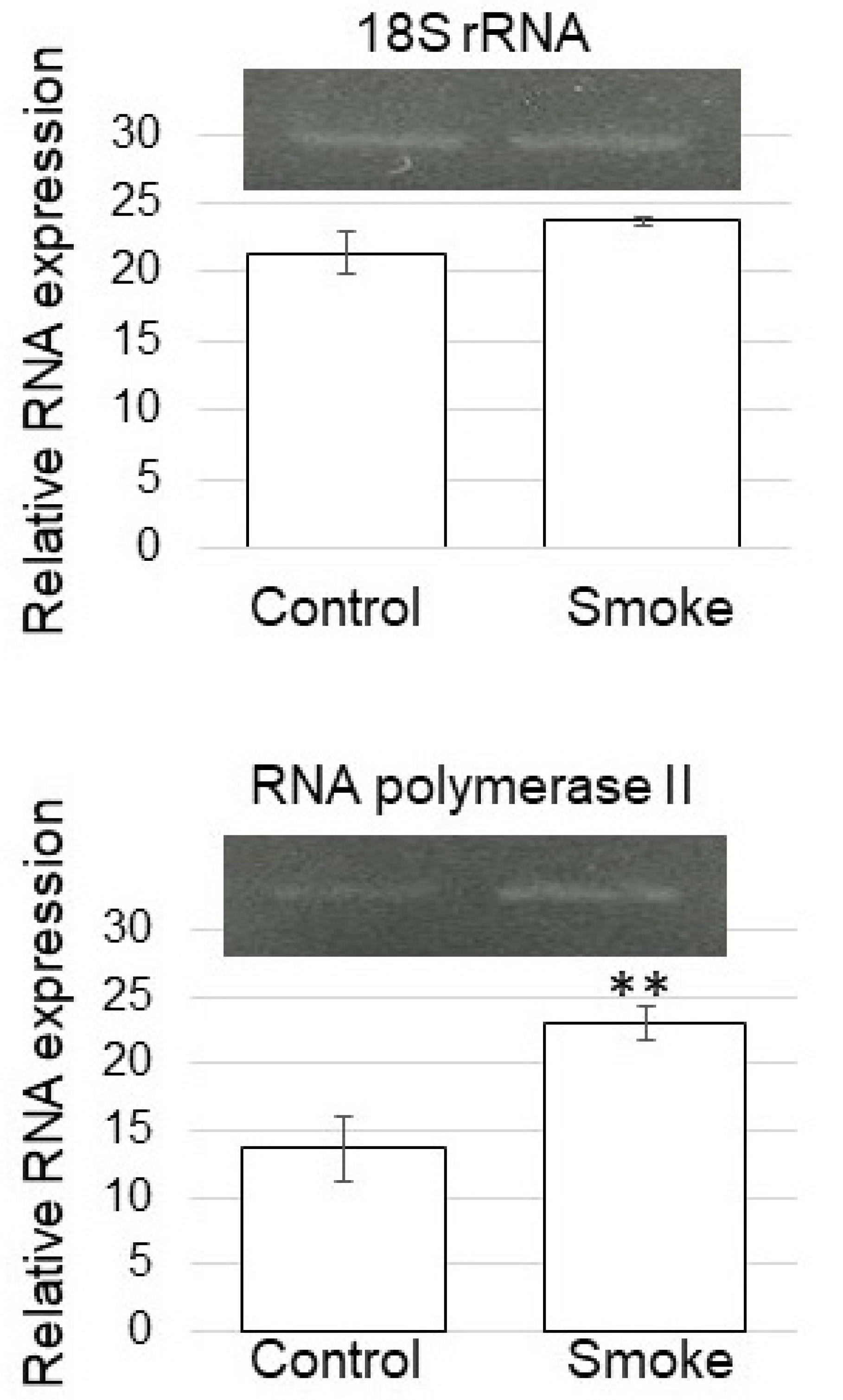 Proteomes 09 00039 g007