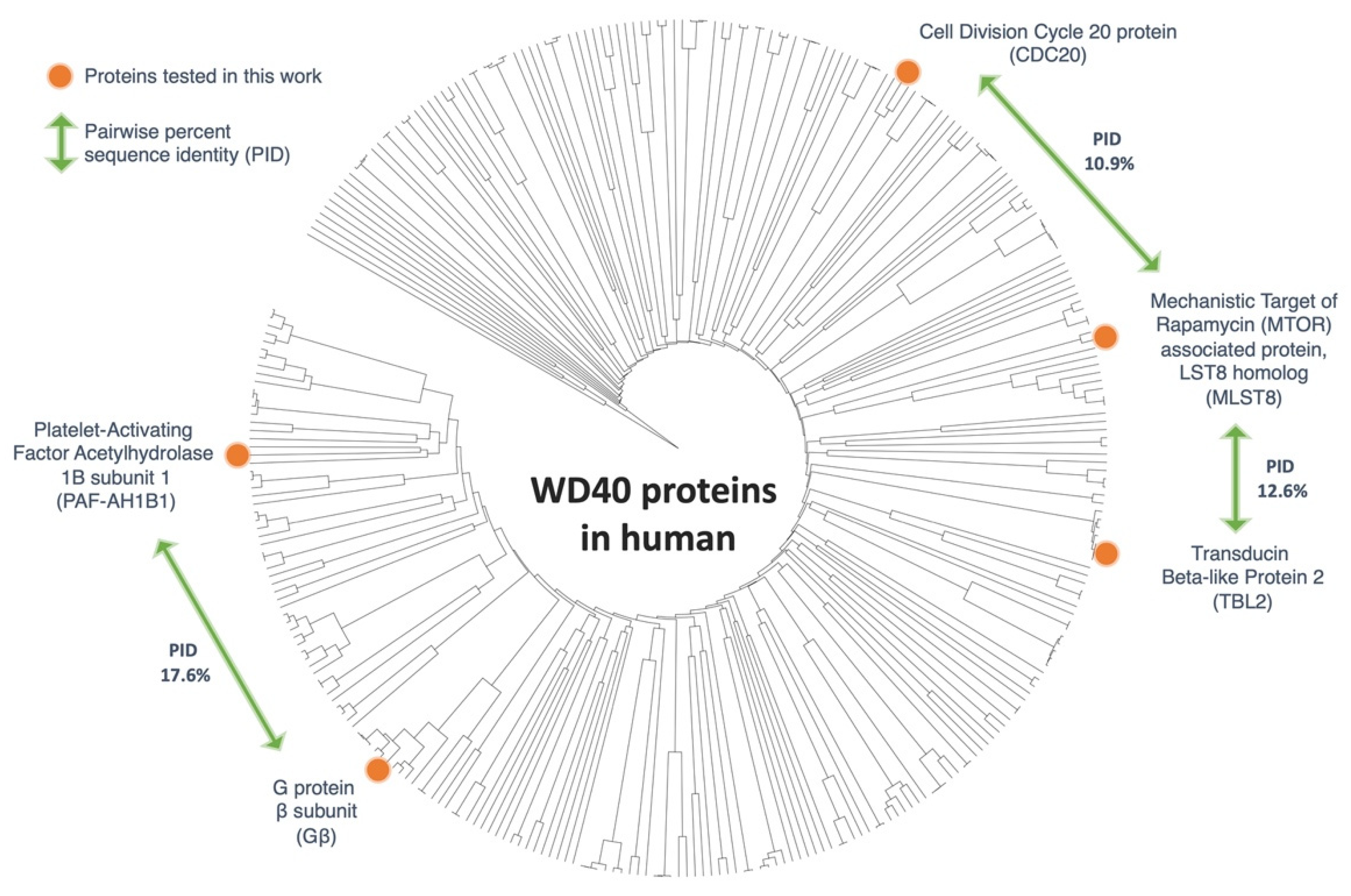 Proteomes 09 00040 g001
