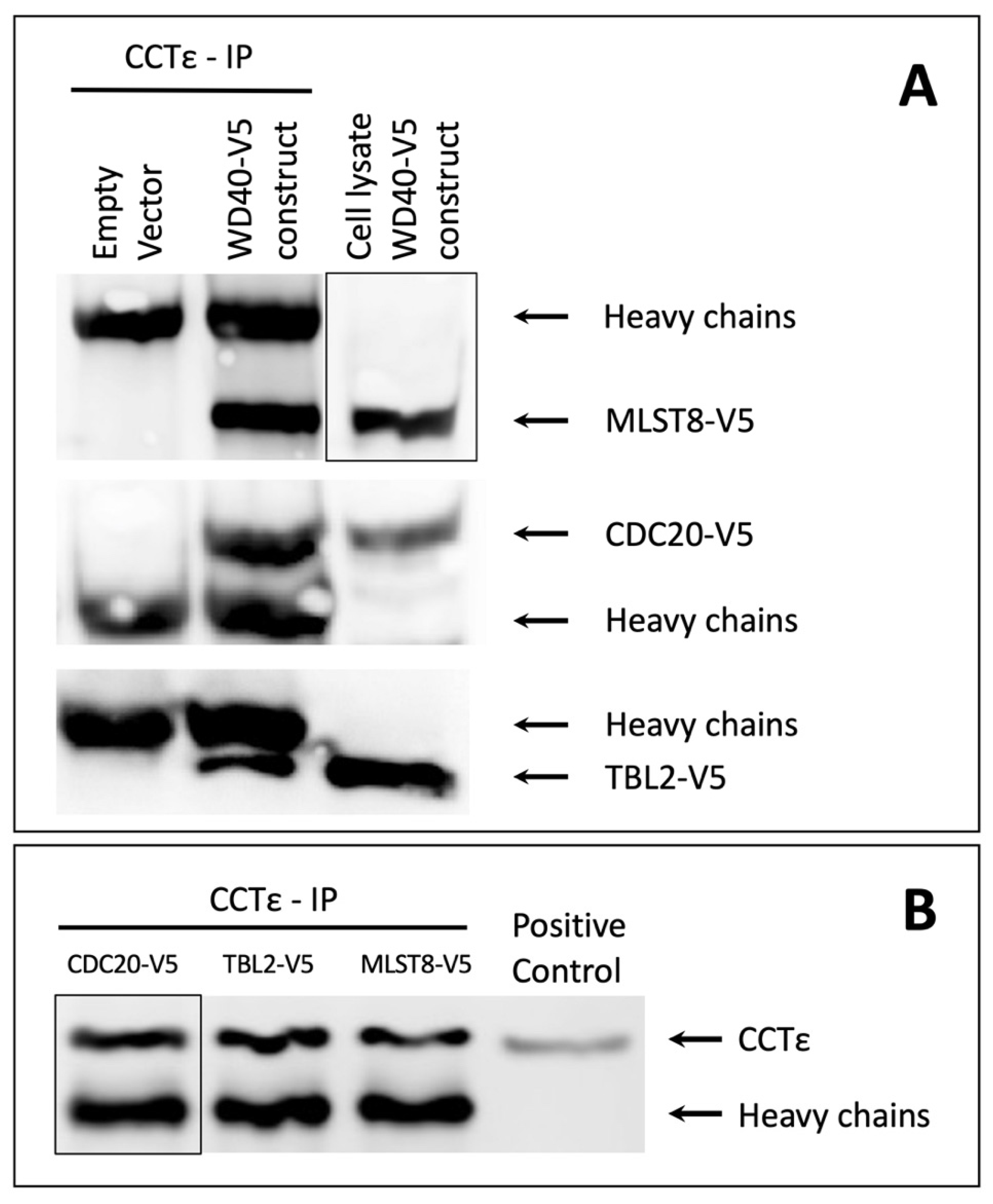 Proteomes 09 00040 g002