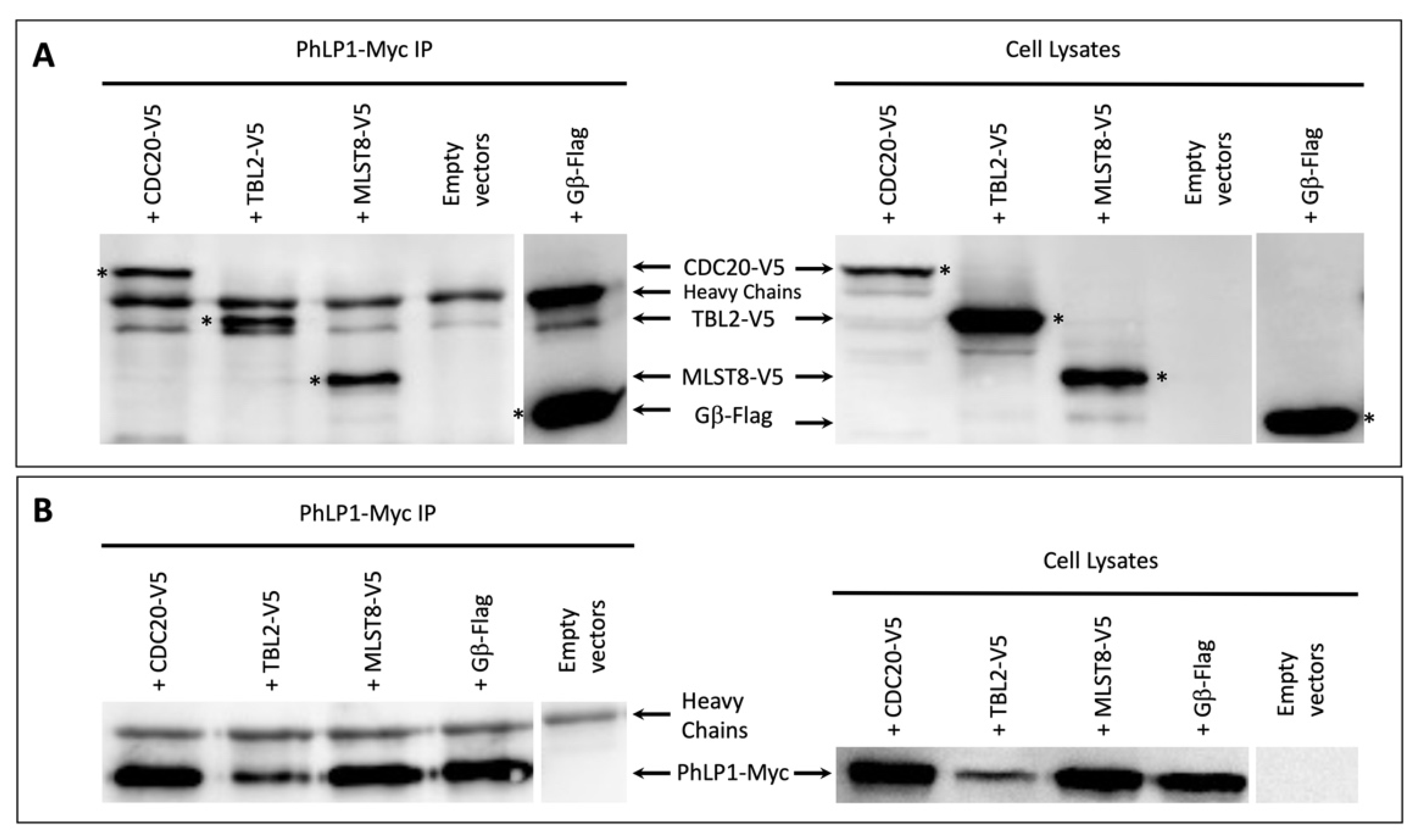 Proteomes 09 00040 g003