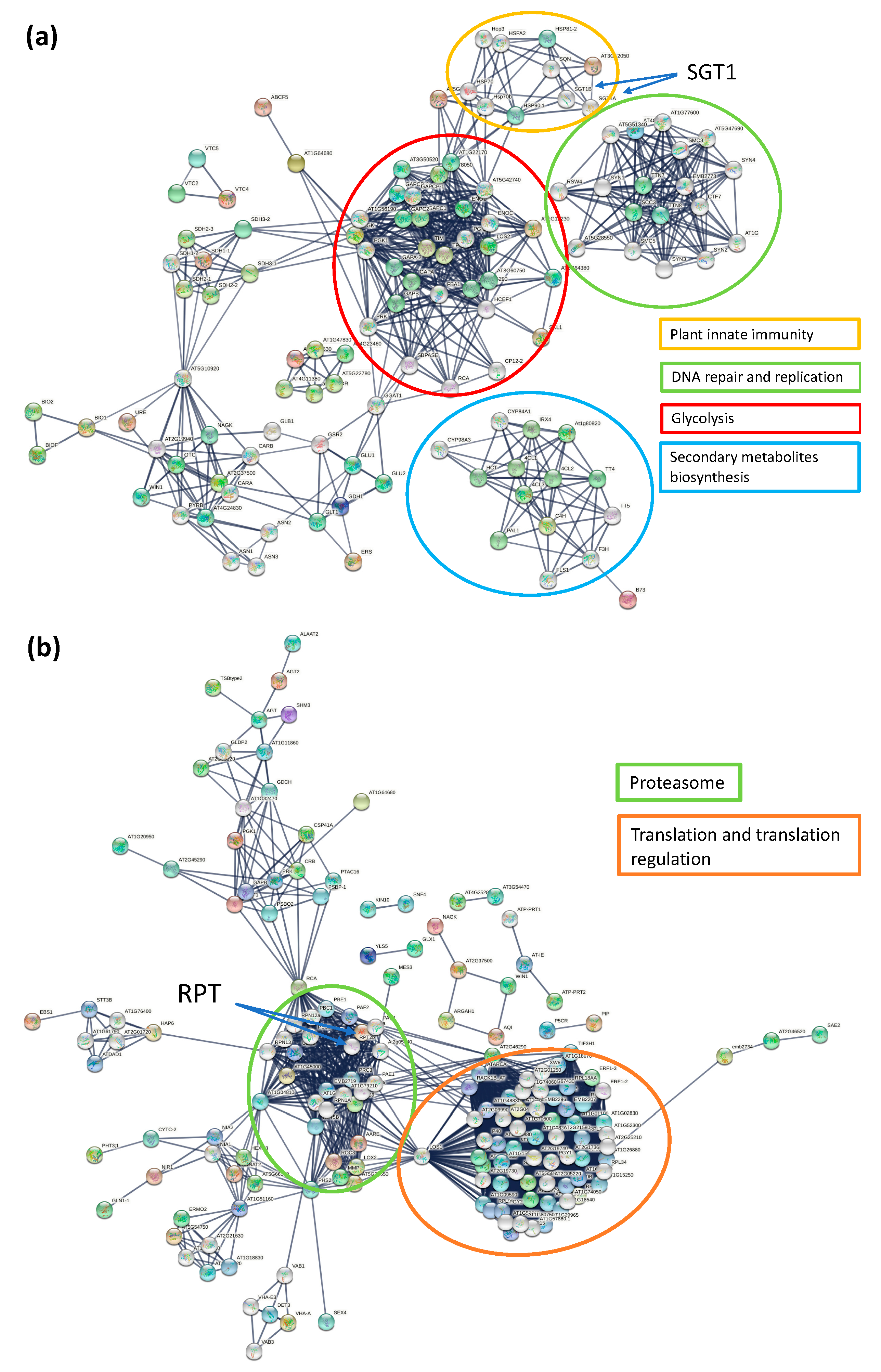 Proteomes 09 00041 g004