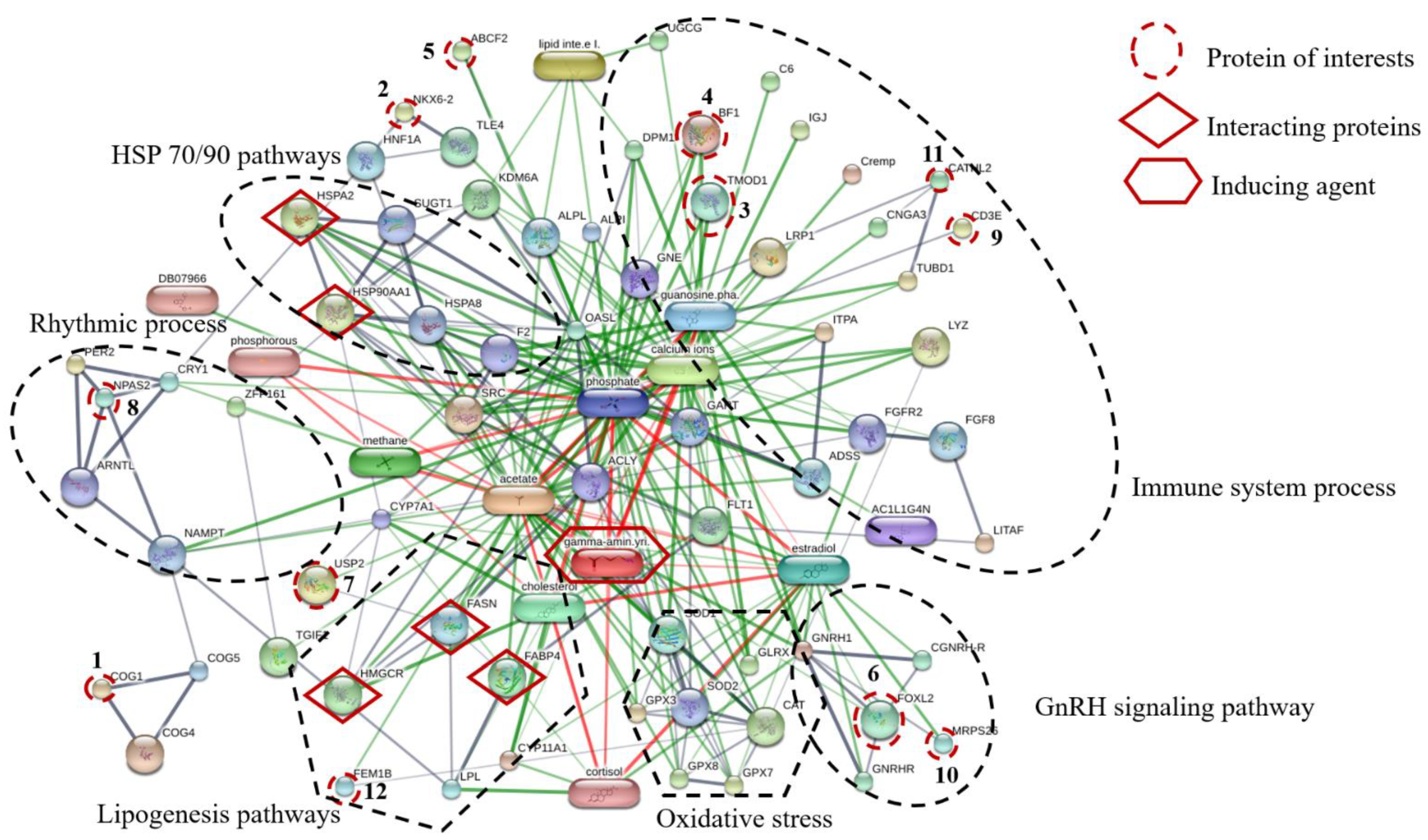 Proteomes 09 00048 g003