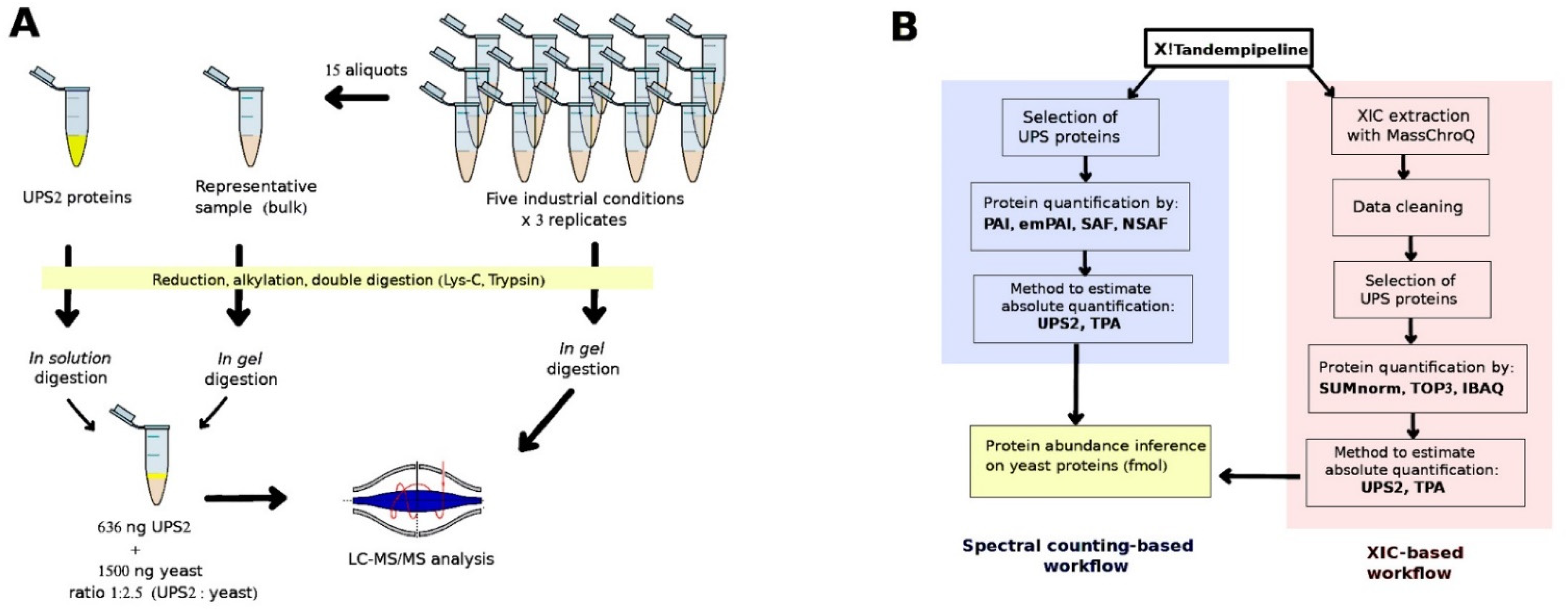 Proteomes 10 00002 g001