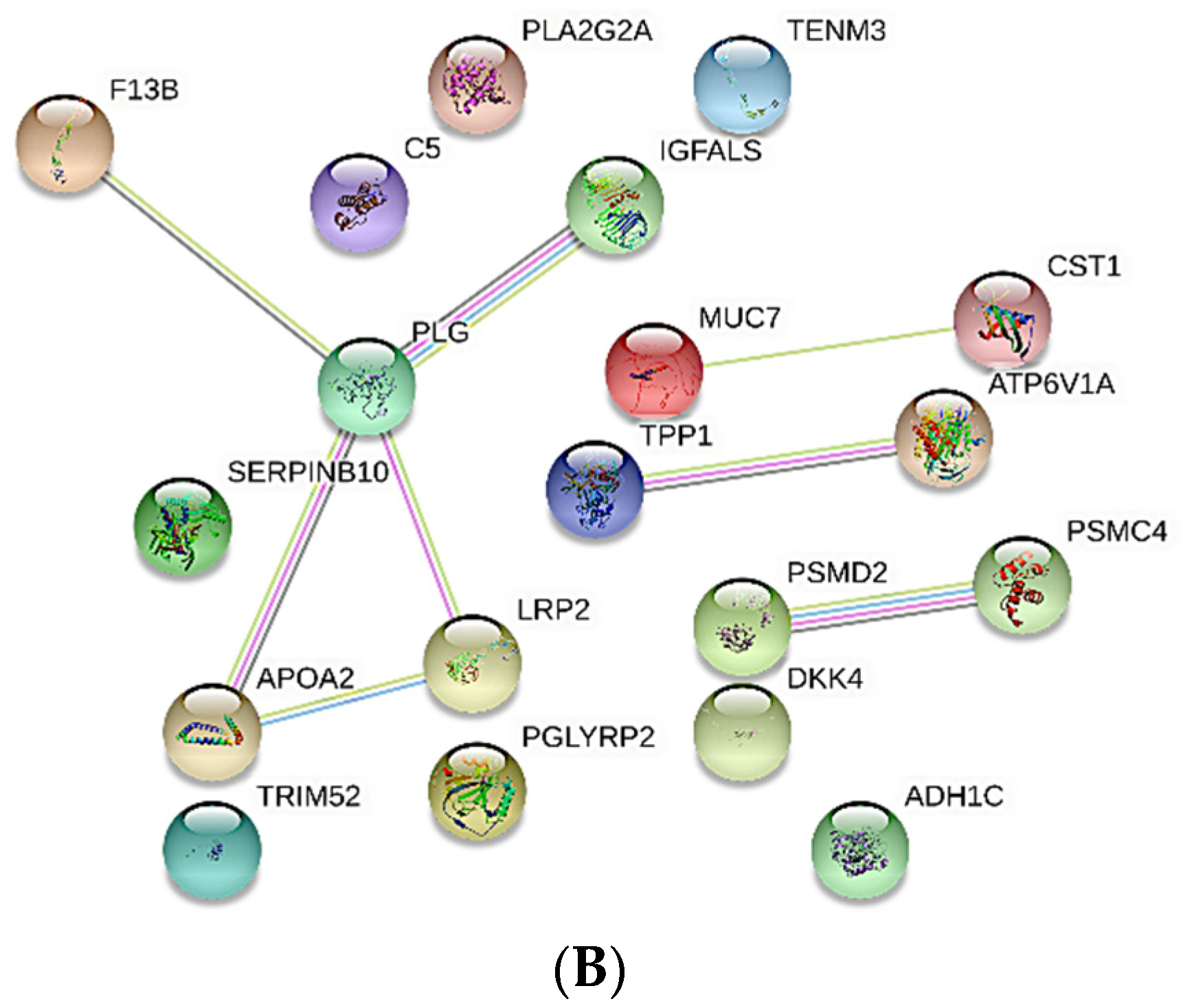 Proteomes 10 00004 g001b