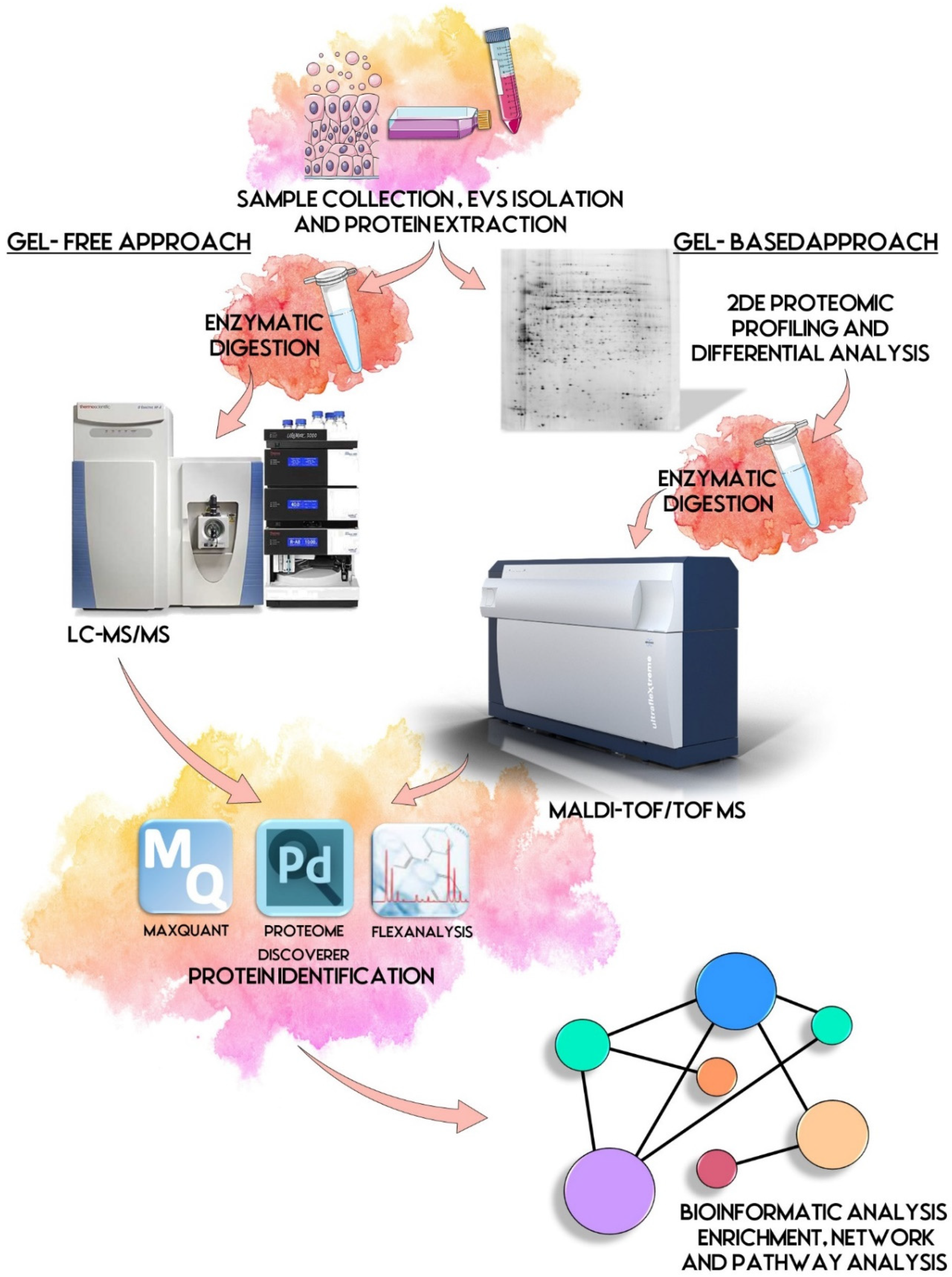 Proteomes 10 00012 g001
