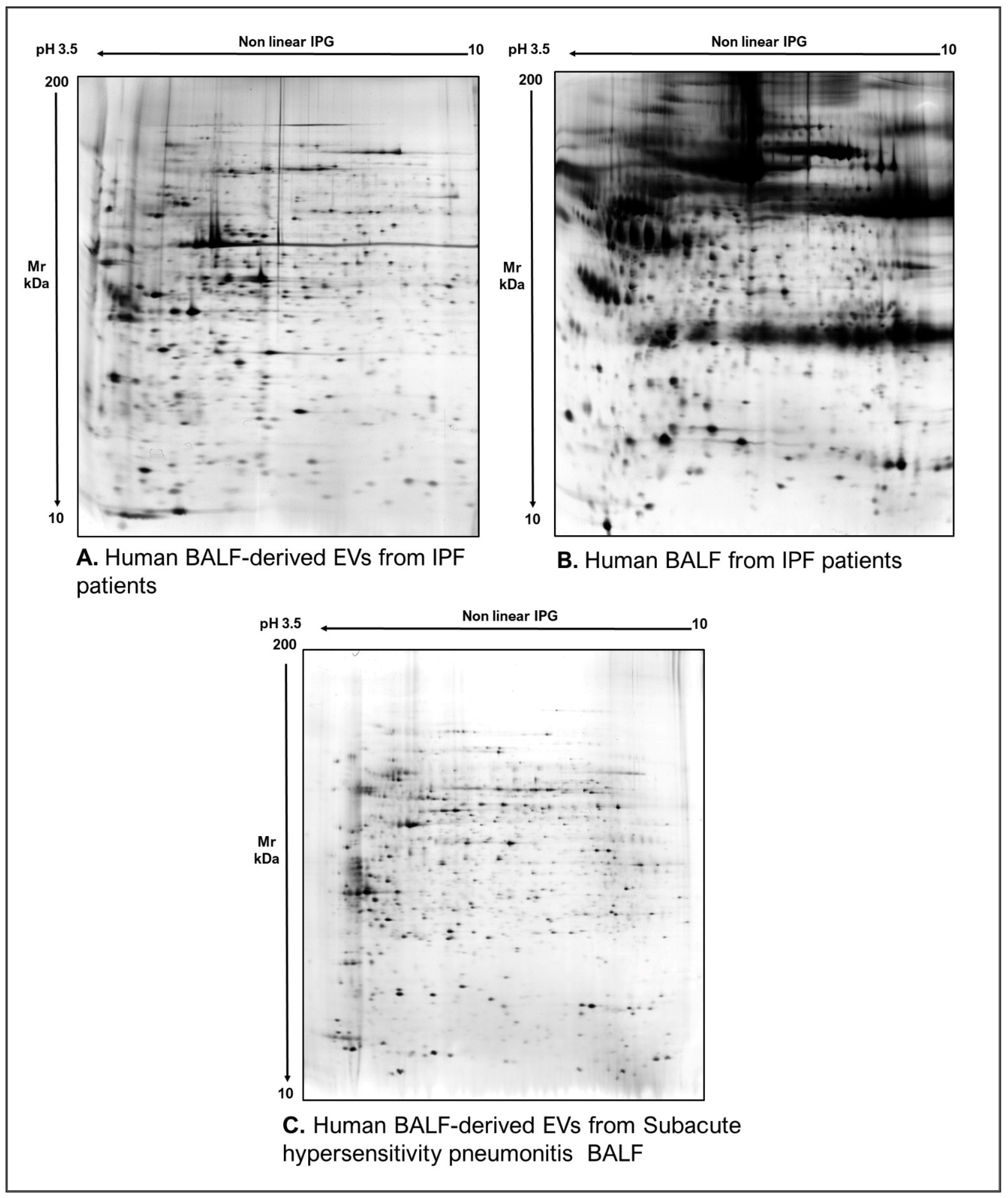 Proteomes 10 00012 g002