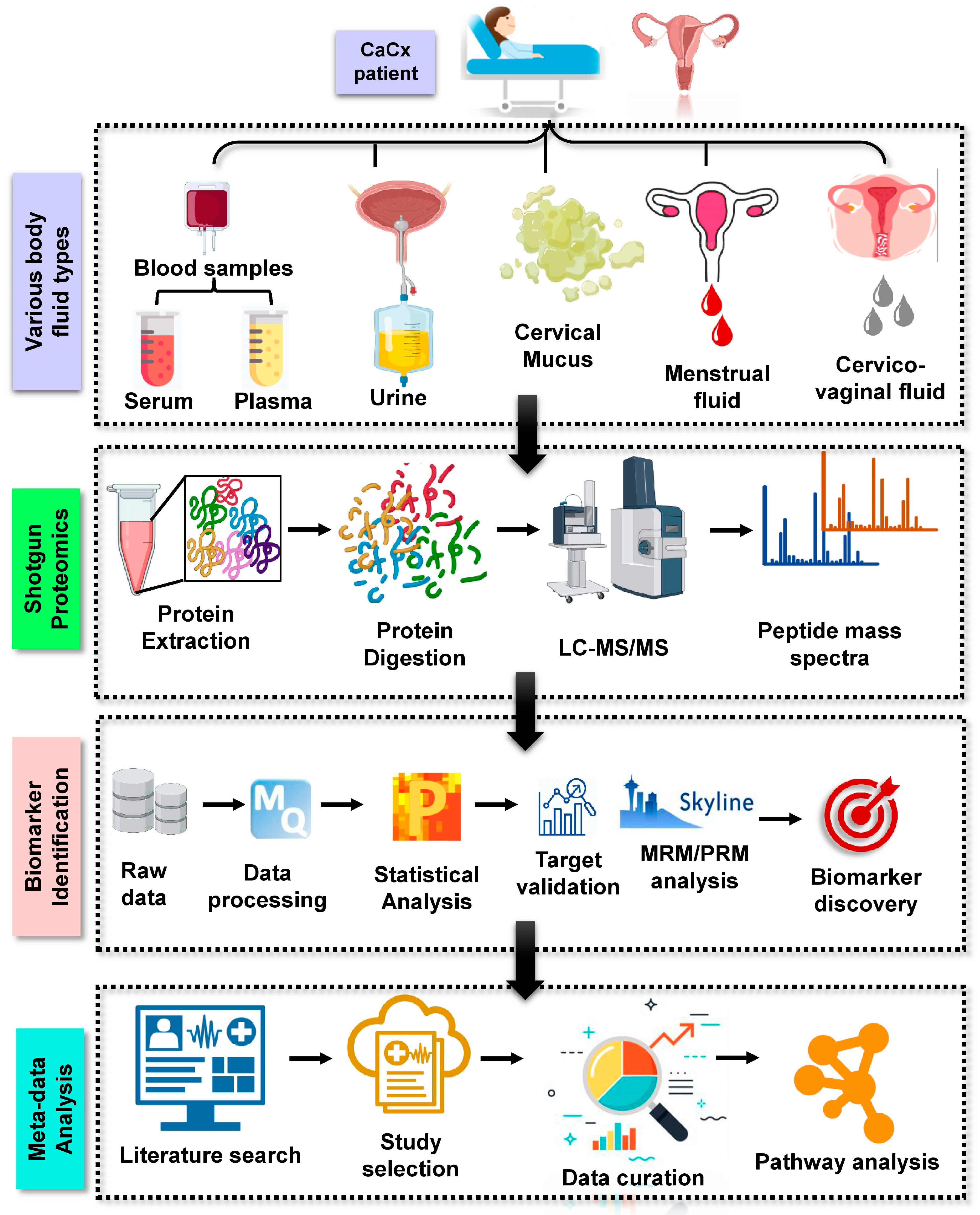 Proteomes 10 00013 g001 Proteomes 10 00013 g001