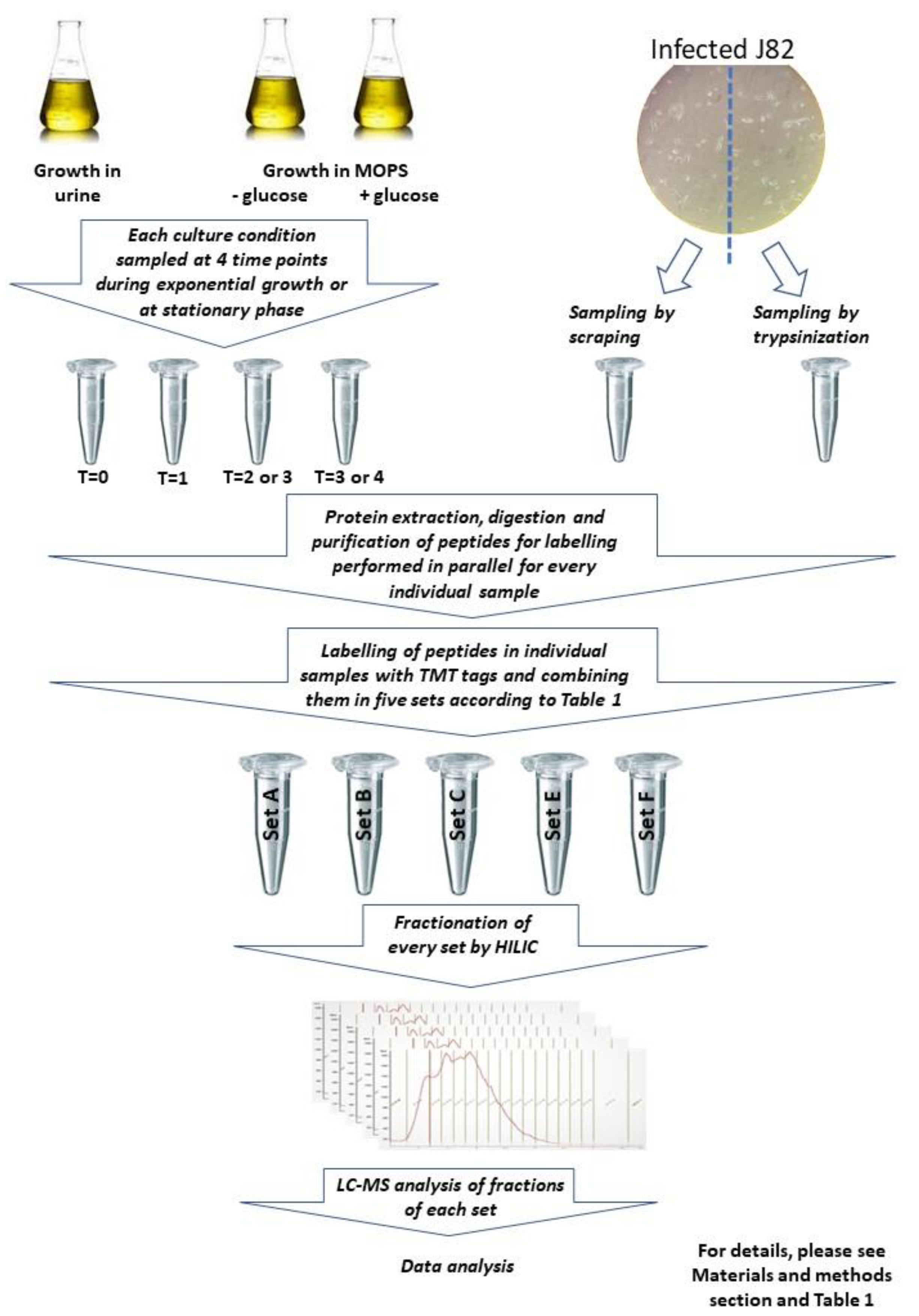 Proteomes 10 00015 g001 Proteomes 10 00015 g001
