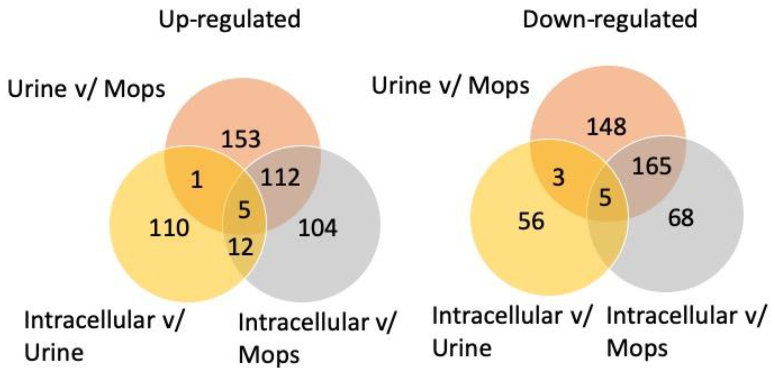Proteomes 10 00015 g002 Proteomes 10 00015 g002