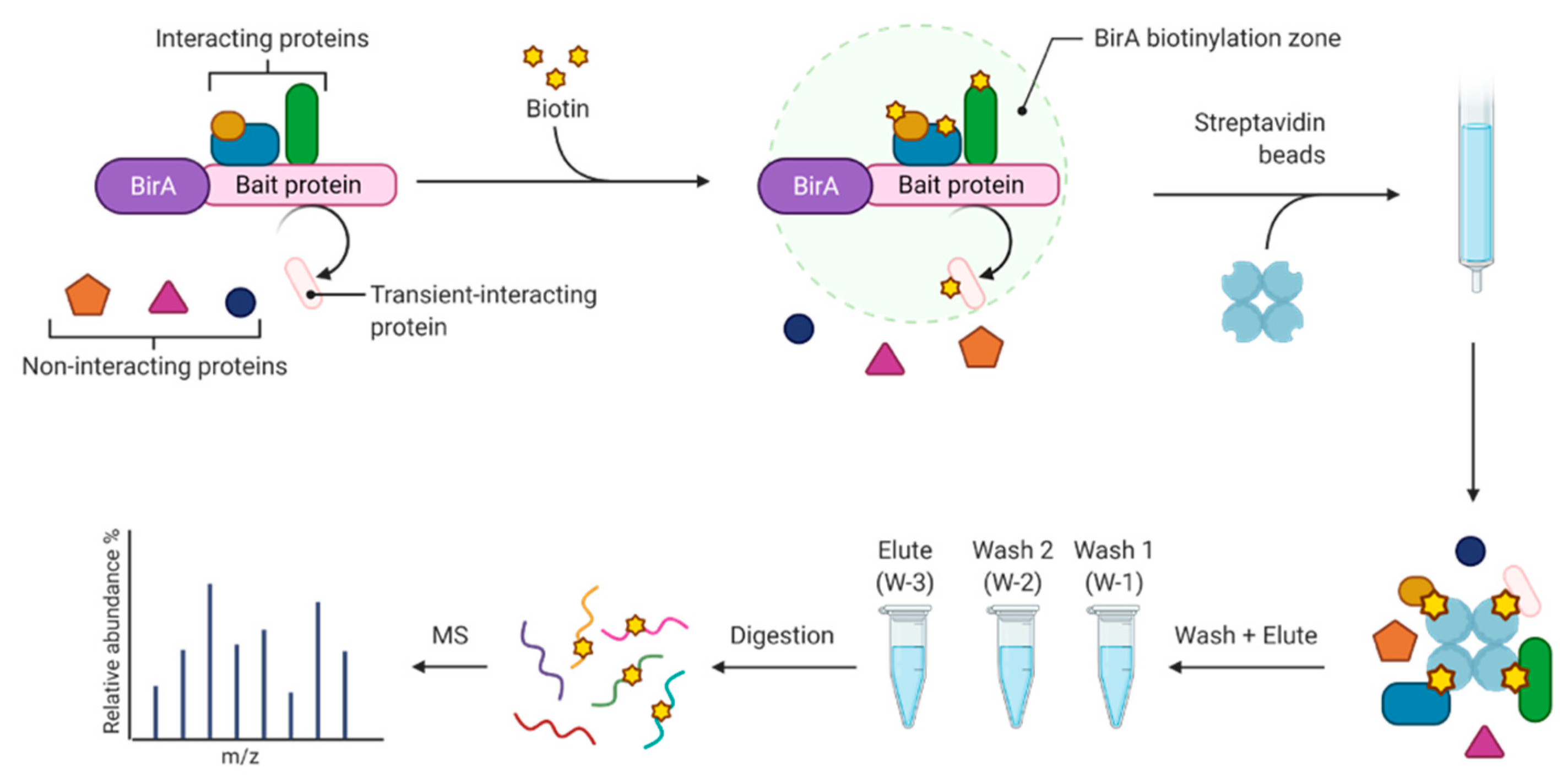 Proteomes 10 00018 g002