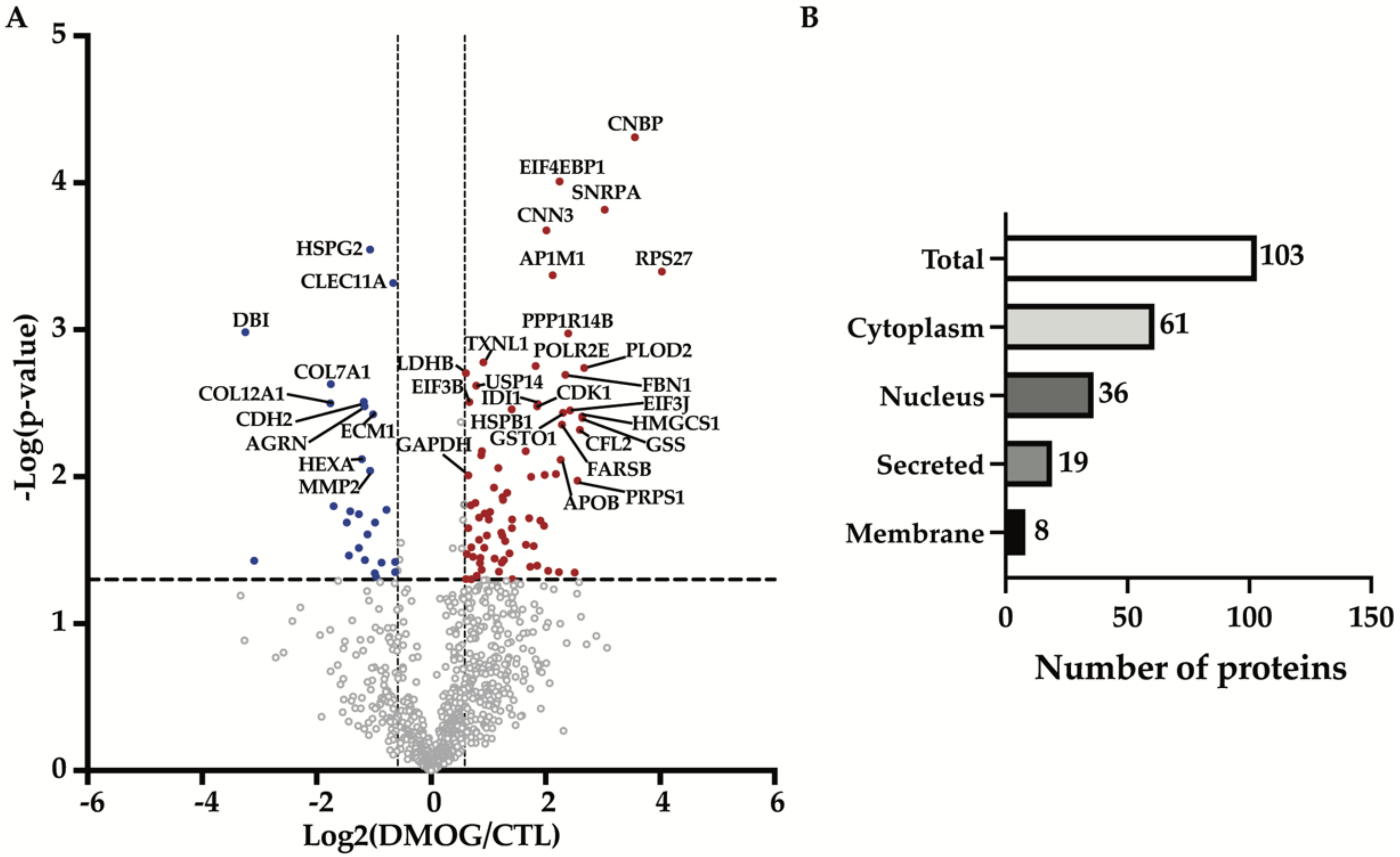 Proteomes 10 00025 g001