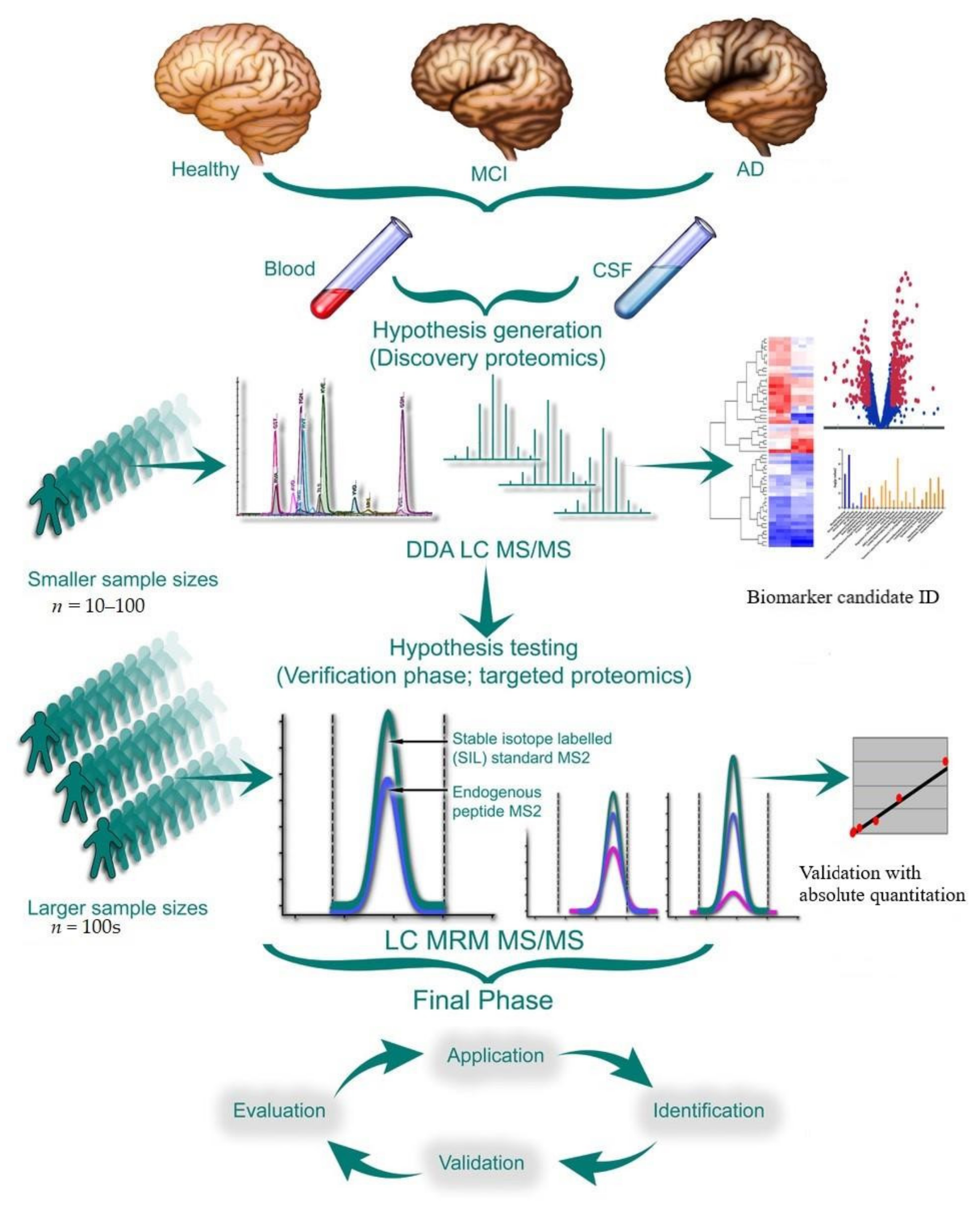 Proteomes 10 00026 g001