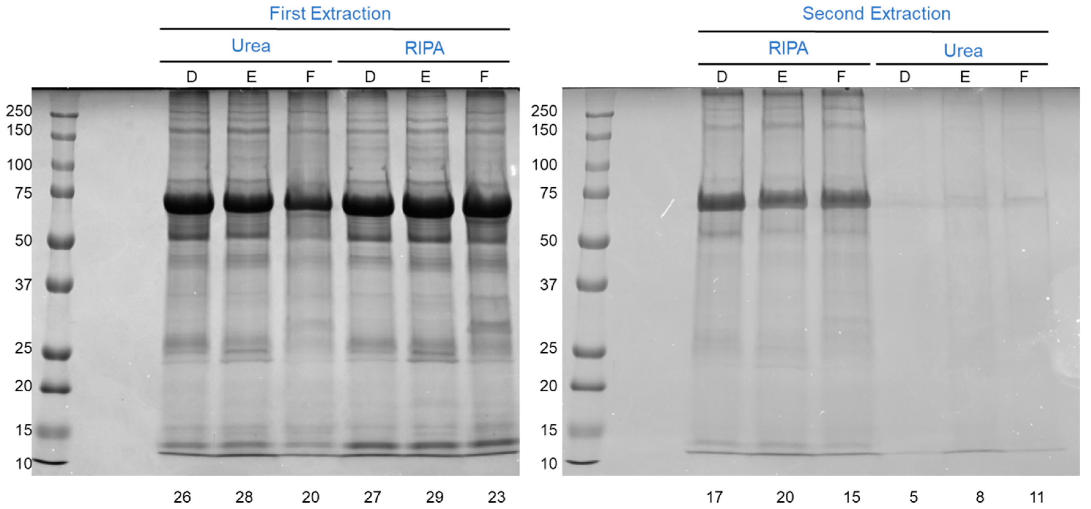 Proteomes 10 00030 g004