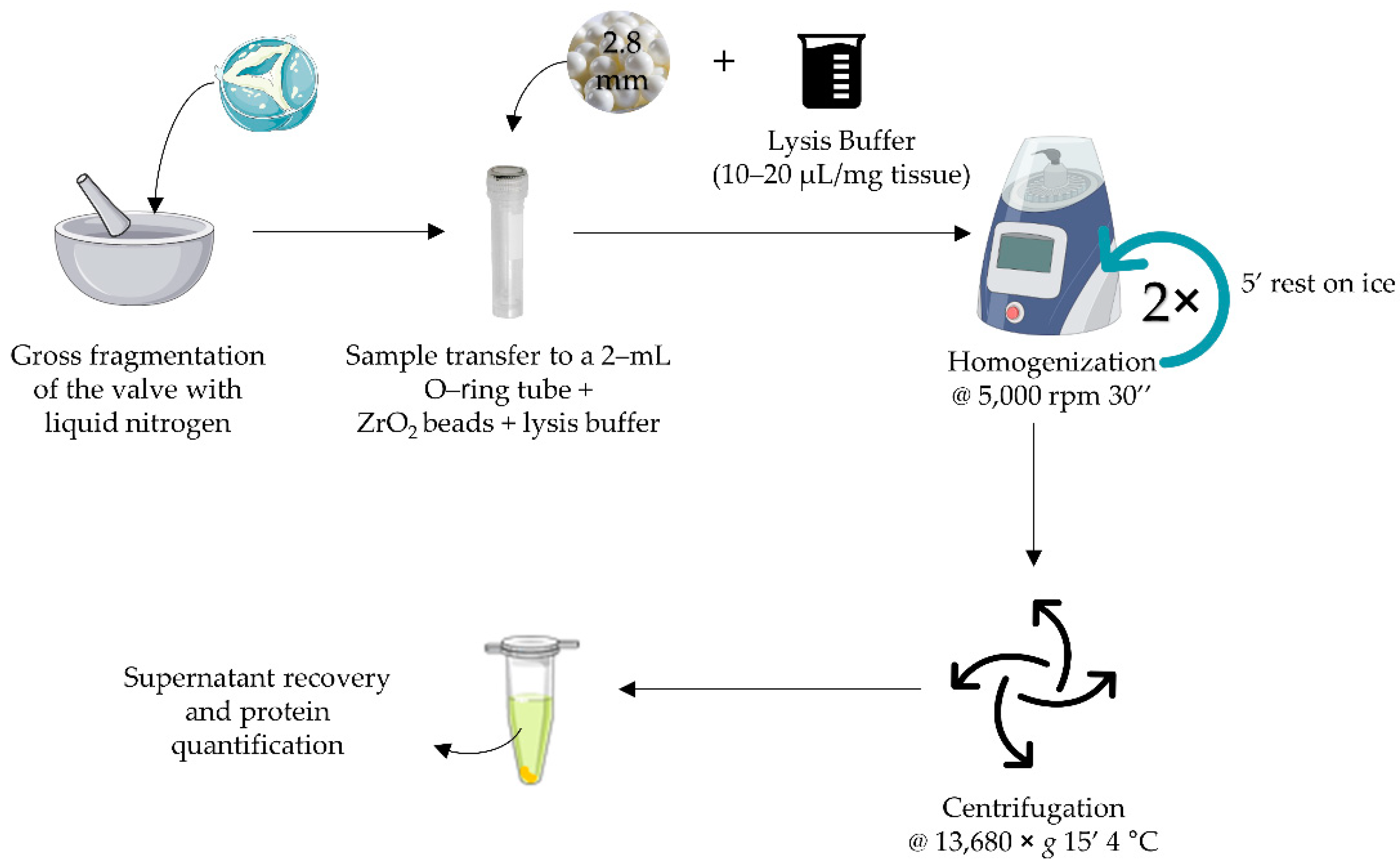Proteomes 10 00030 g005